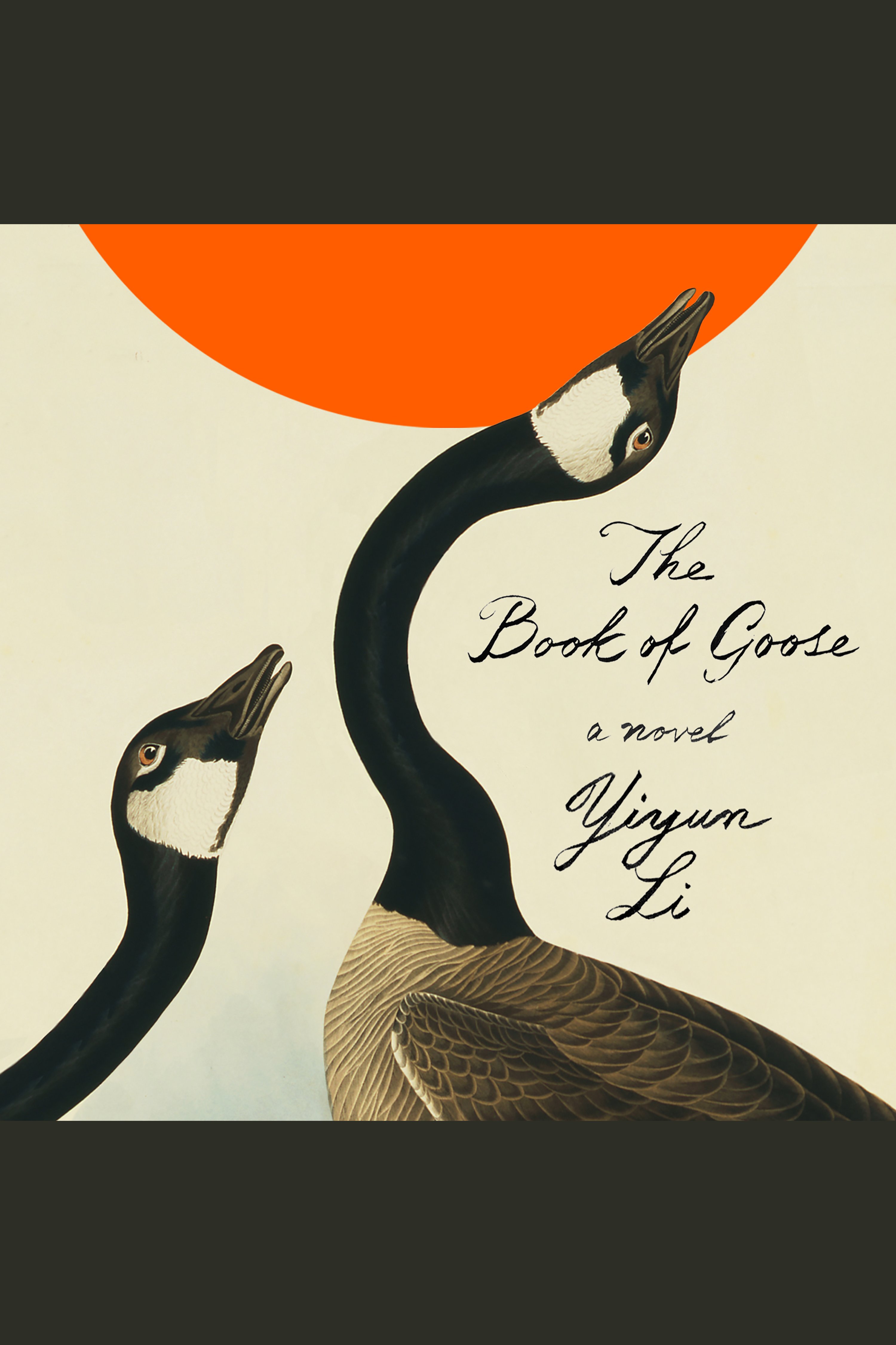 The Book of Goose cover image