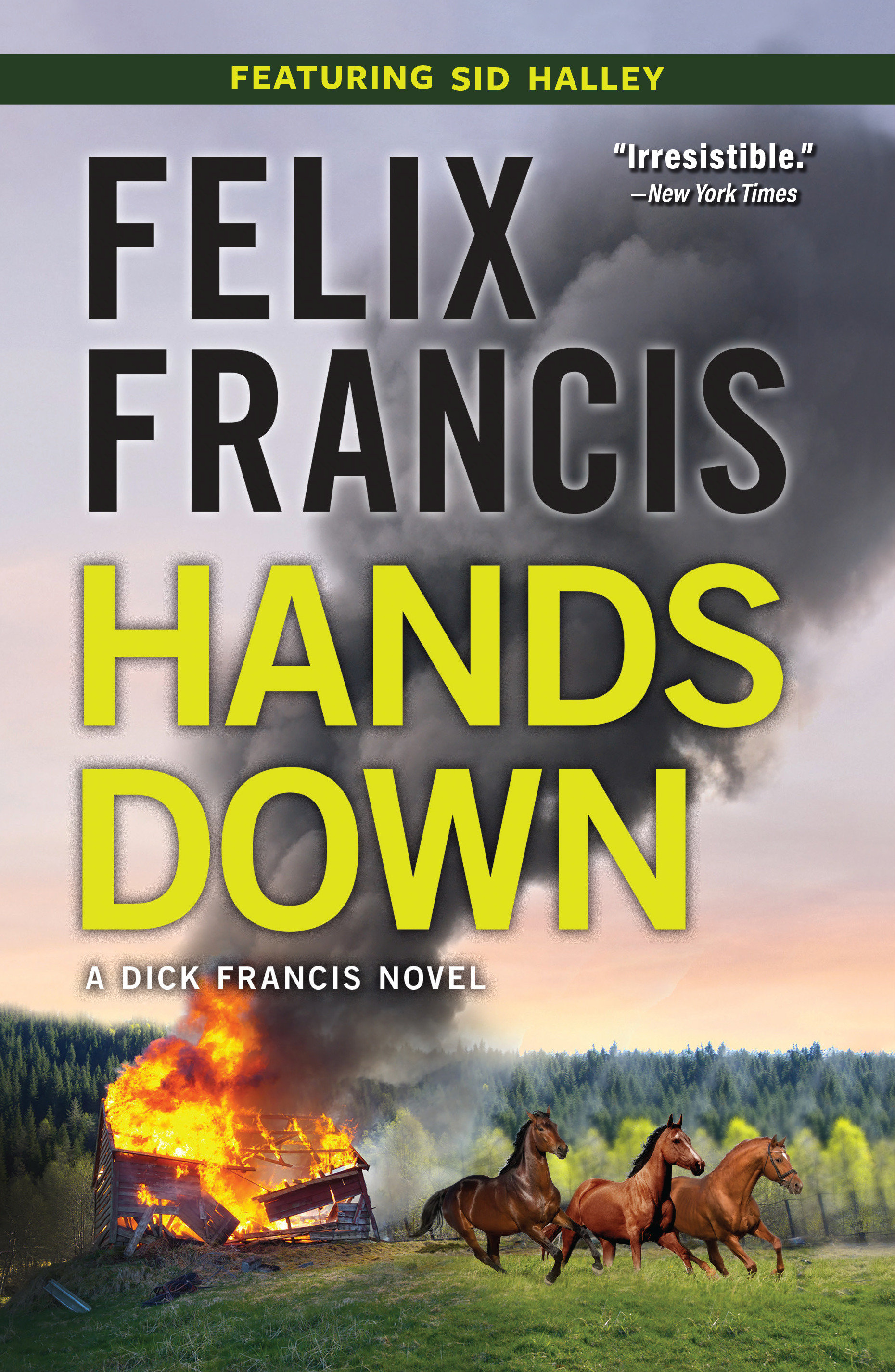 Image de couverture de Hands Down [electronic resource] : A Novel