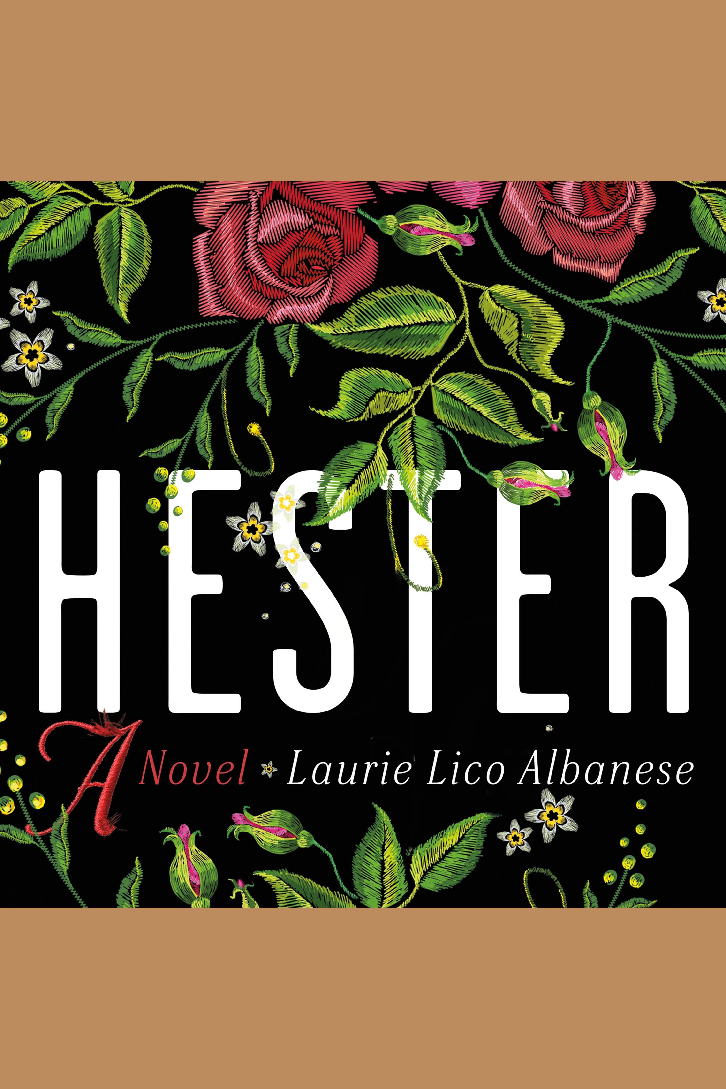 Cover image for Hester [electronic resource] : A Novel