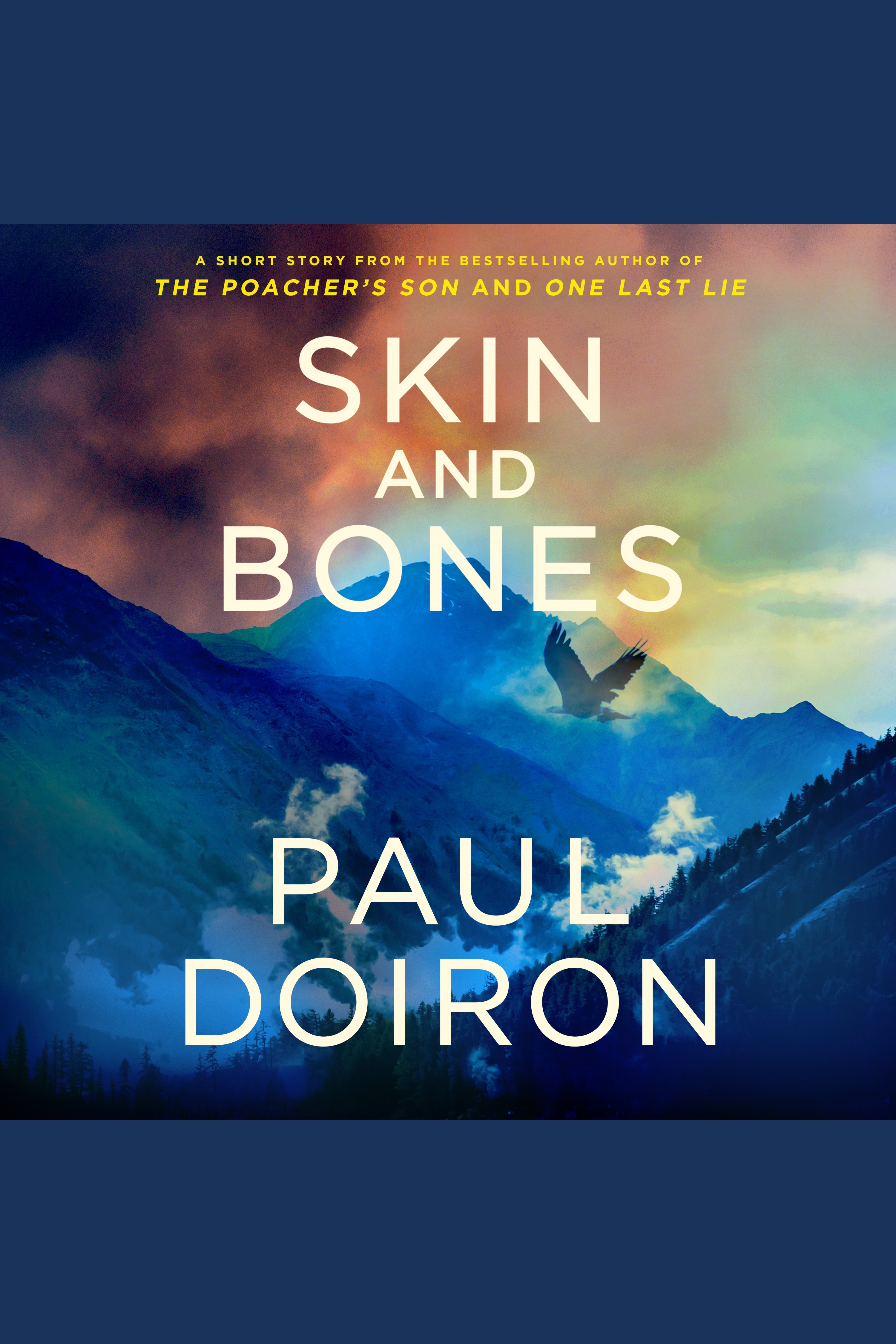 Cover image for Skin and Bones [electronic resource] : A Mike Bowditch Short Mystery