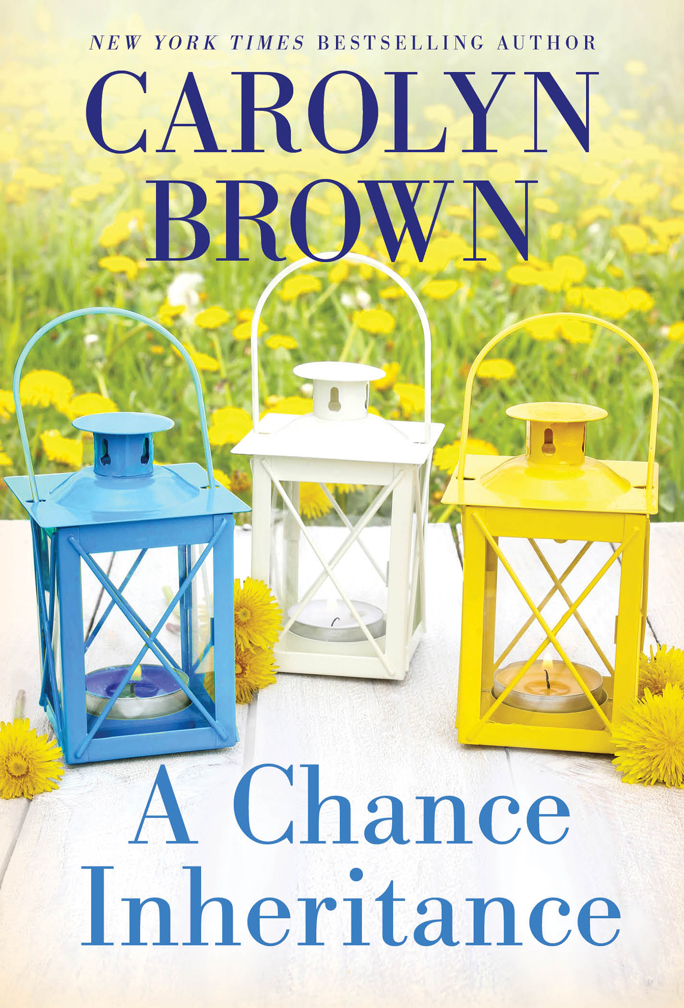 Cover image for A Chance Inheritance [electronic resource] :