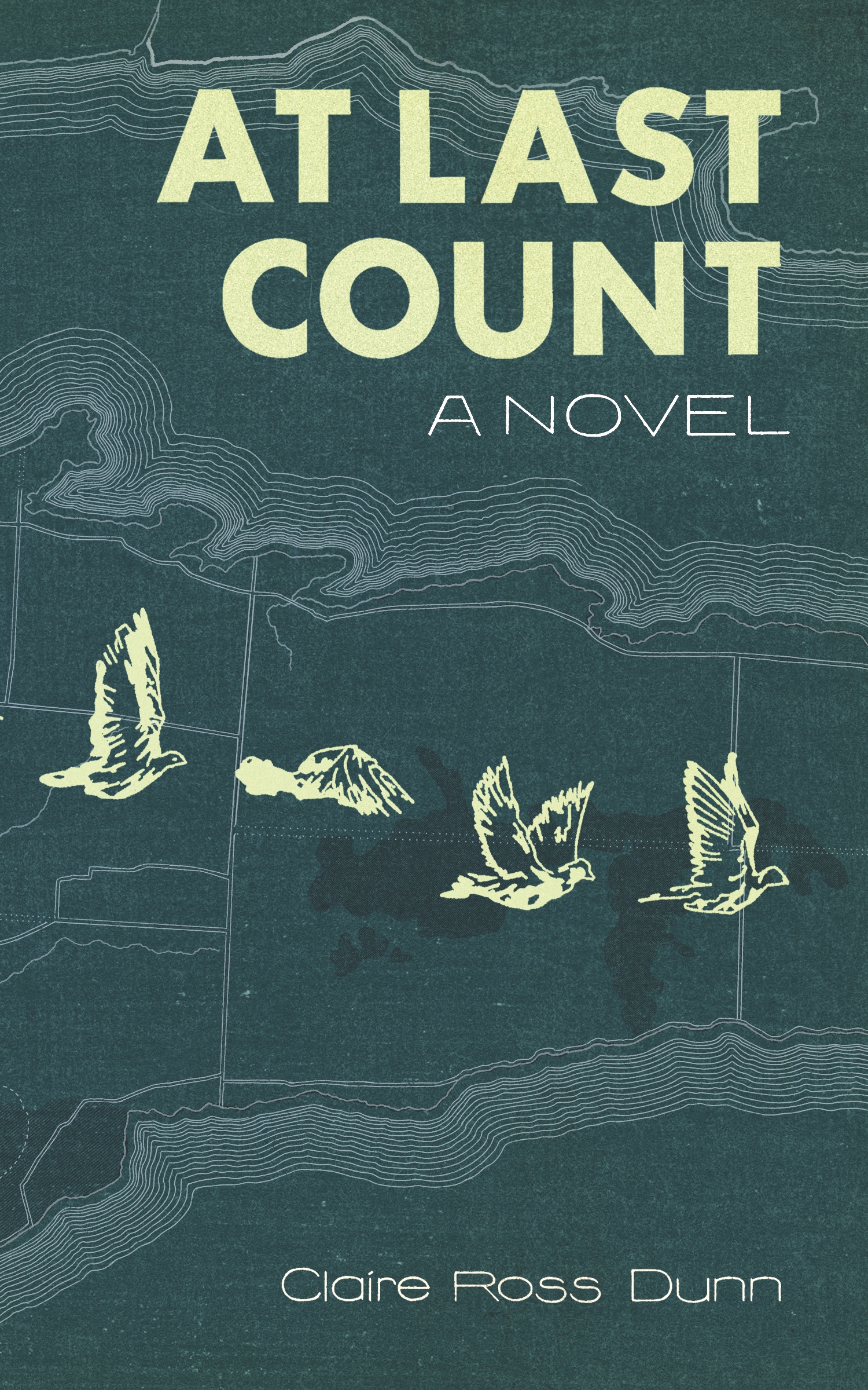 Cover Image of At Last Count