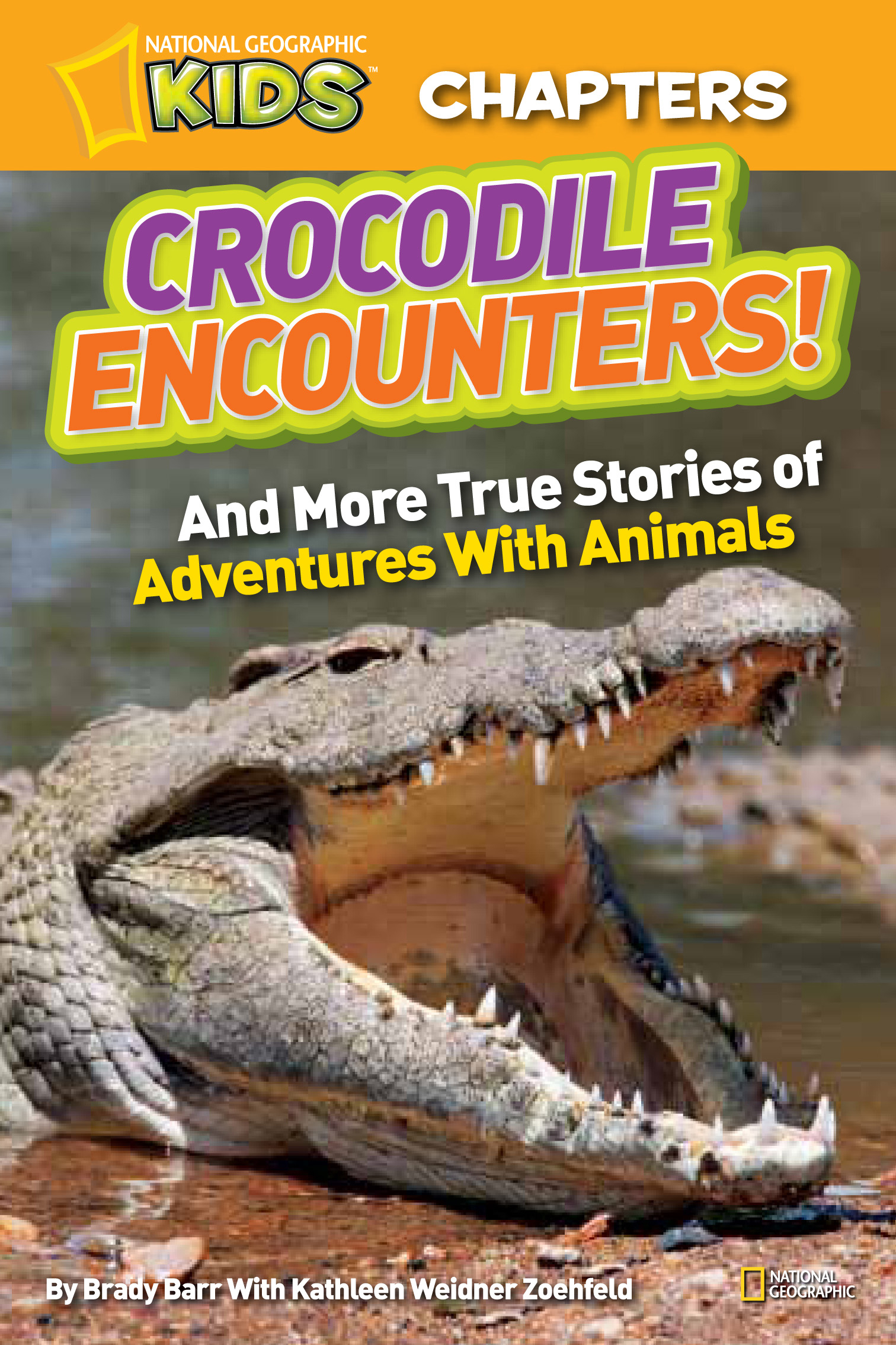 Cover image for National Geographic Kids Chapters: Crocodile Encounters [electronic resource] : and More True Stories of Adventures with Animals