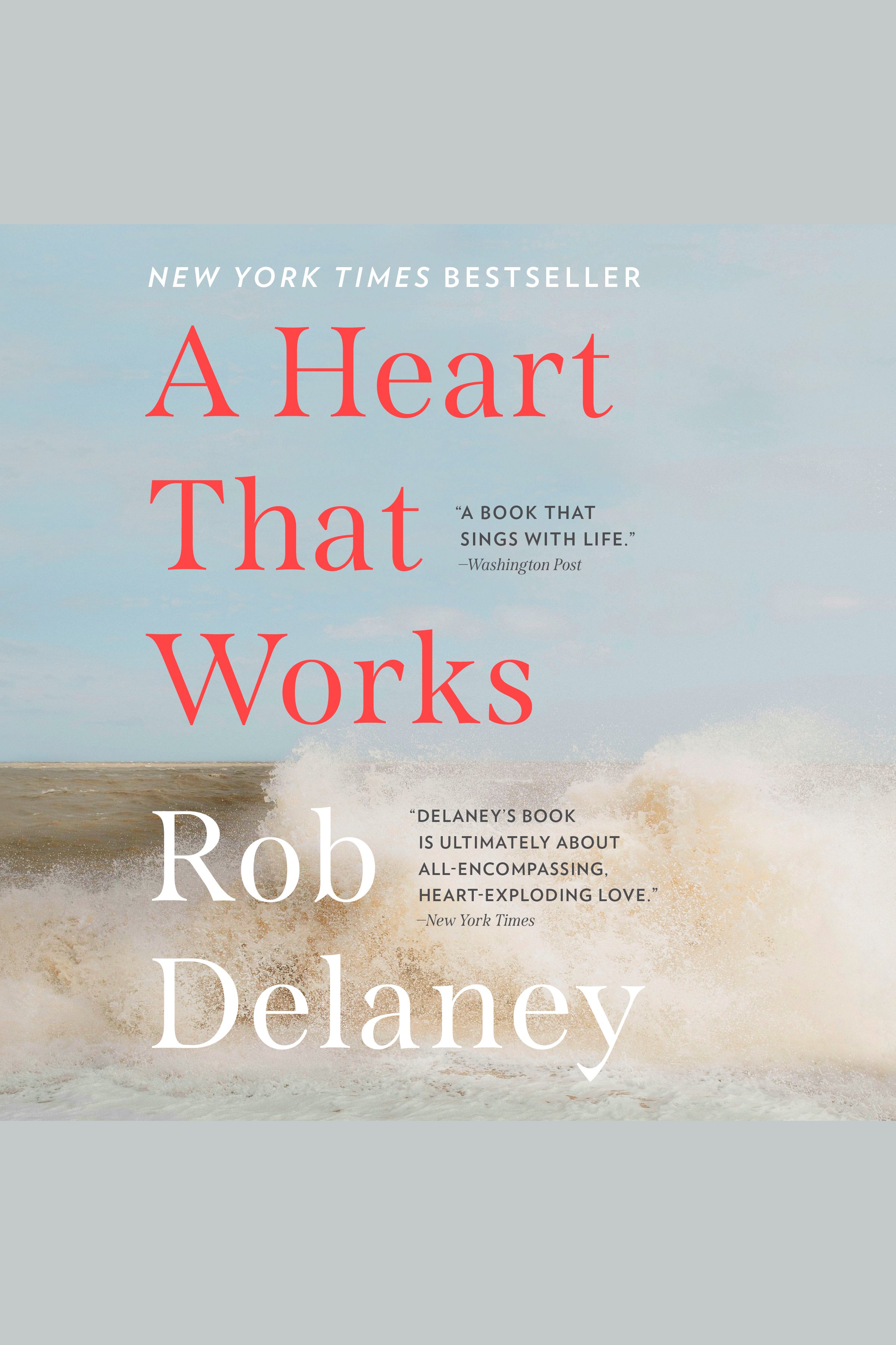 A Heart that Works cover image