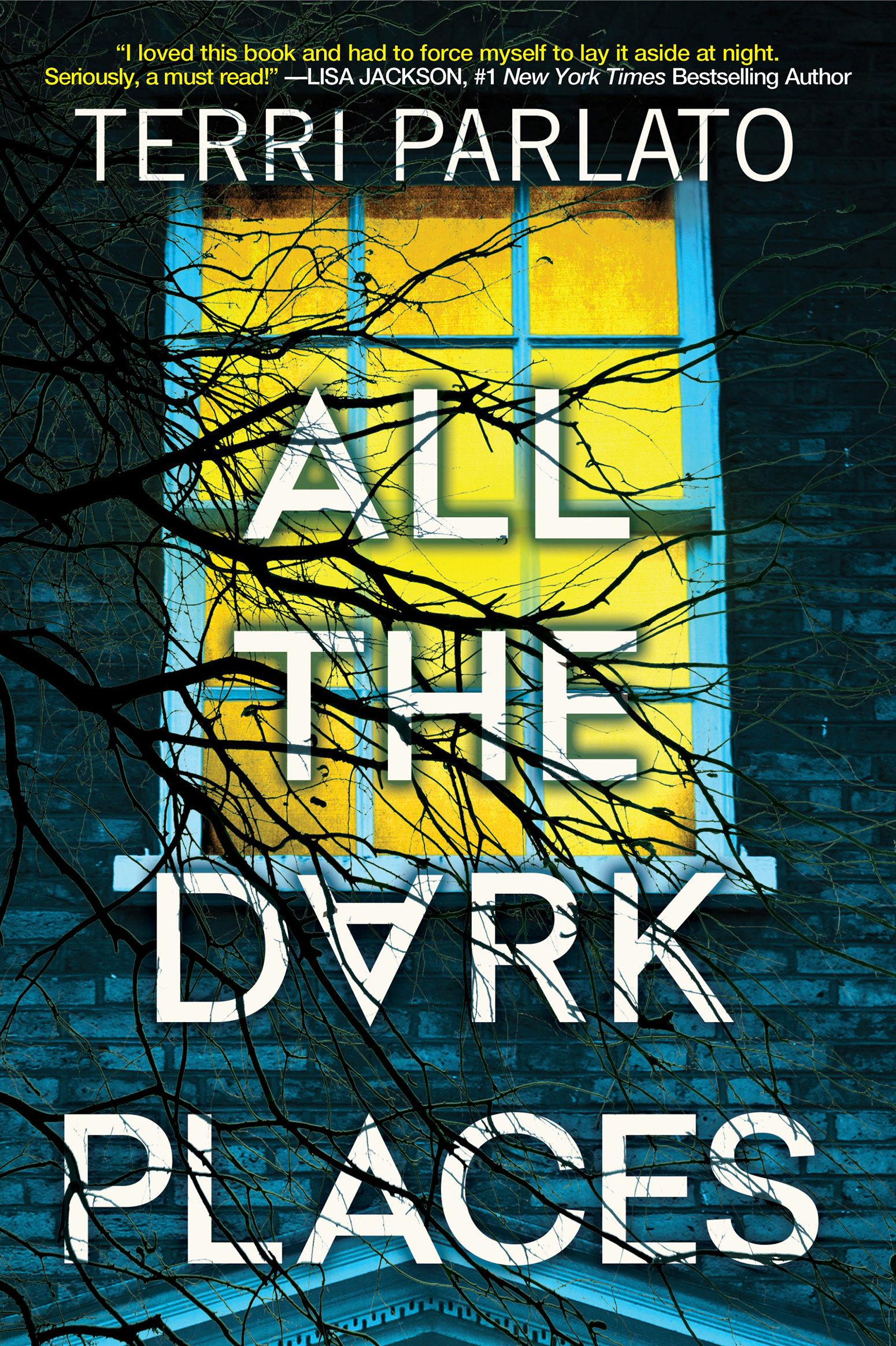 All the Dark Places A Riveting Novel of Suspense with a Shocking Twist cover image