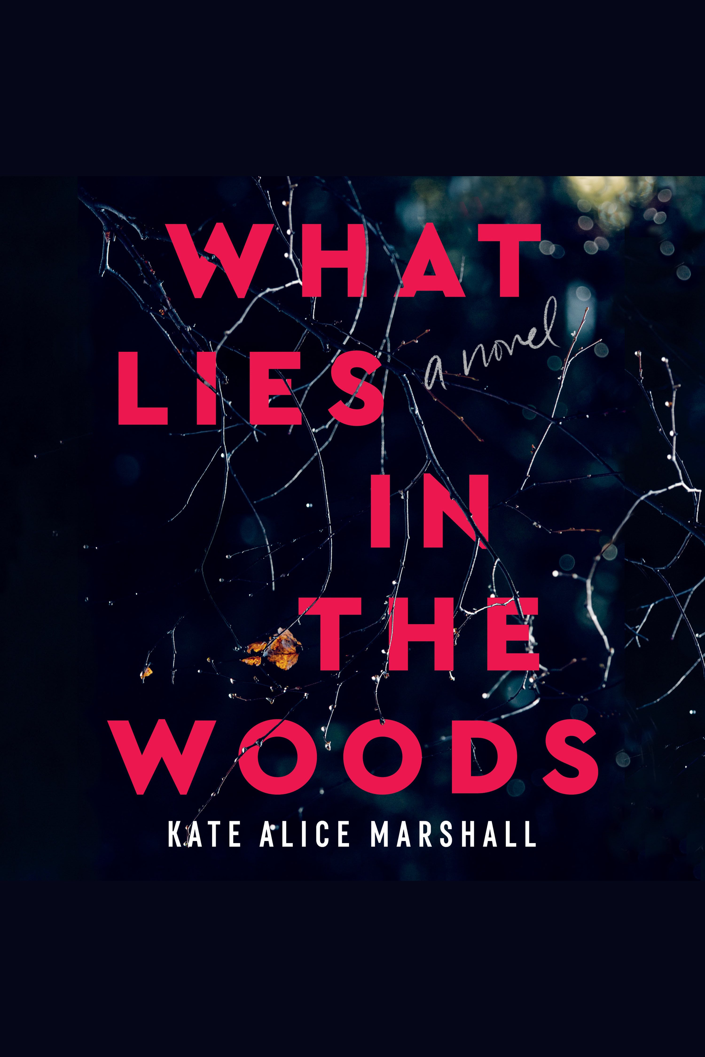 What Lies in the Woods cover image