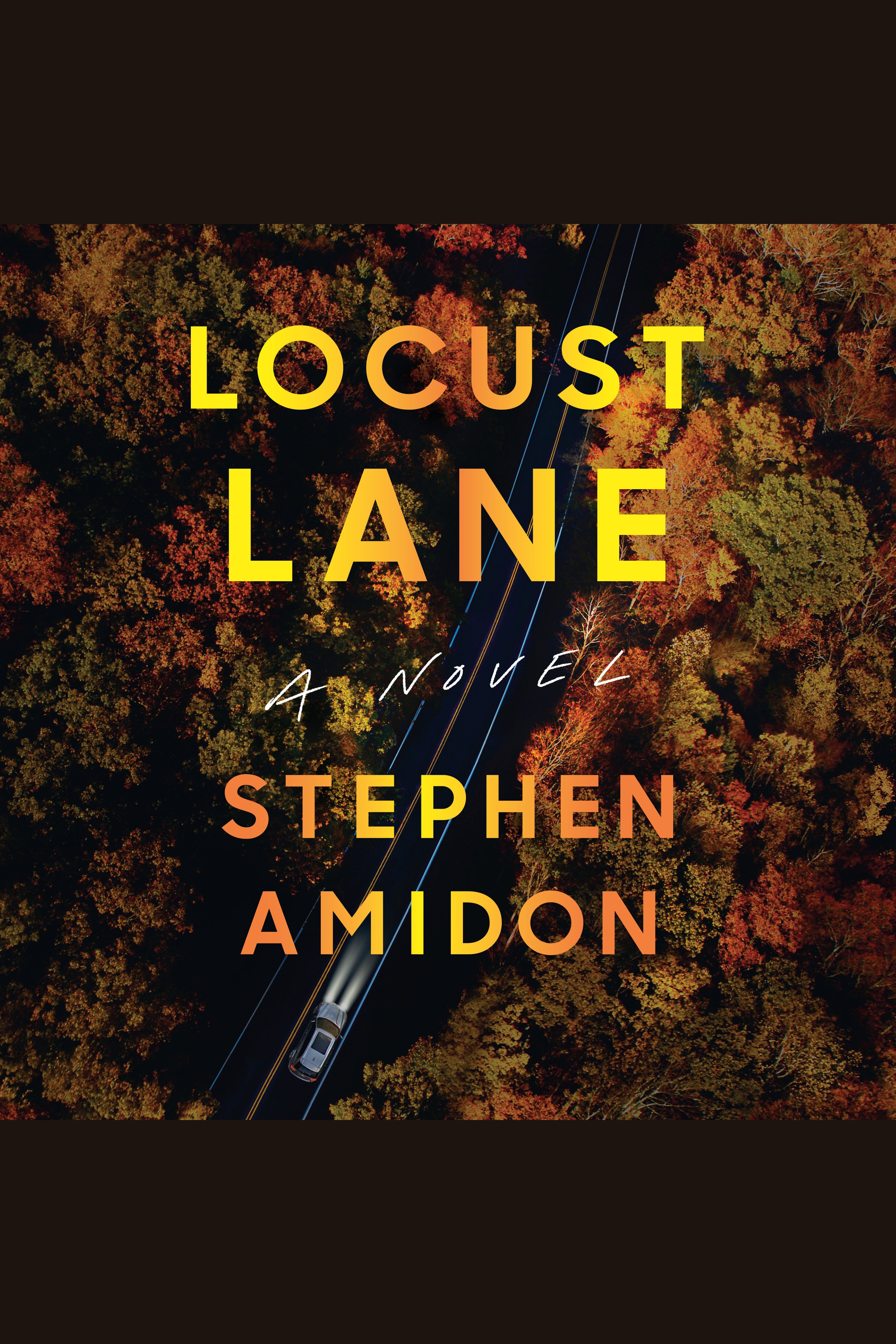 Locust Lane cover image