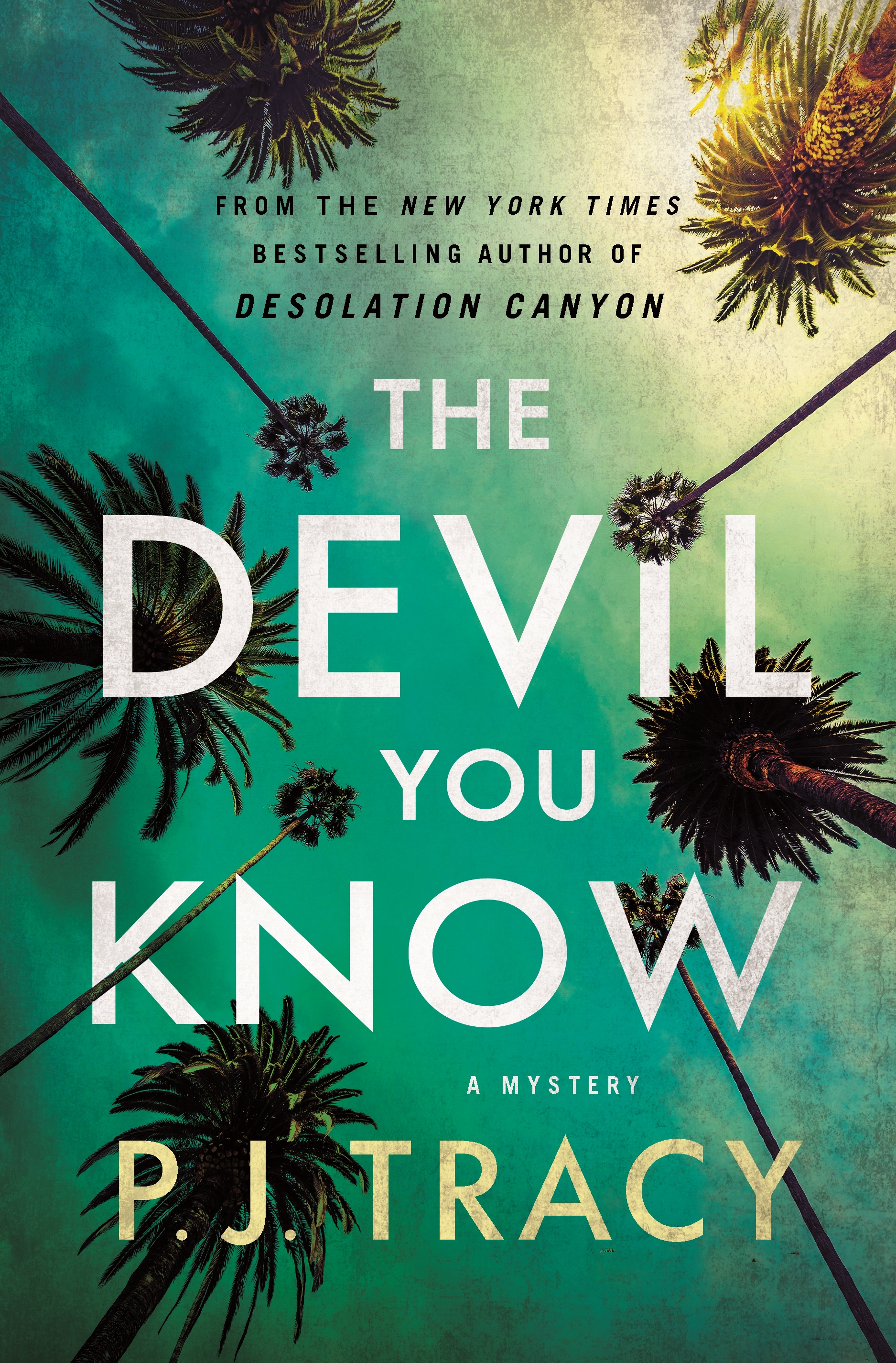 The Devil You Know A Mystery cover image