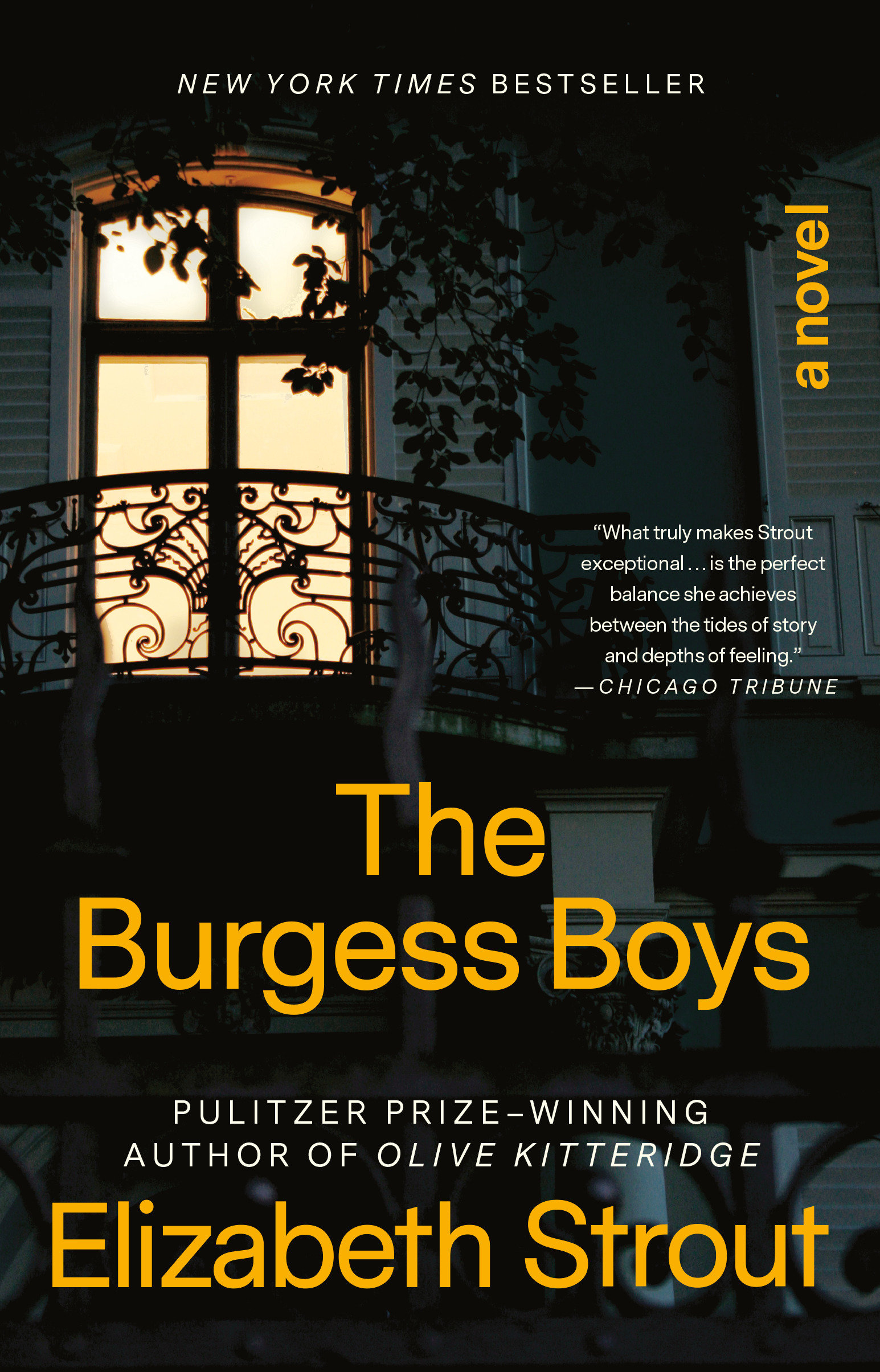 Cover image for The Burgess Boys [electronic resource] : A Novel