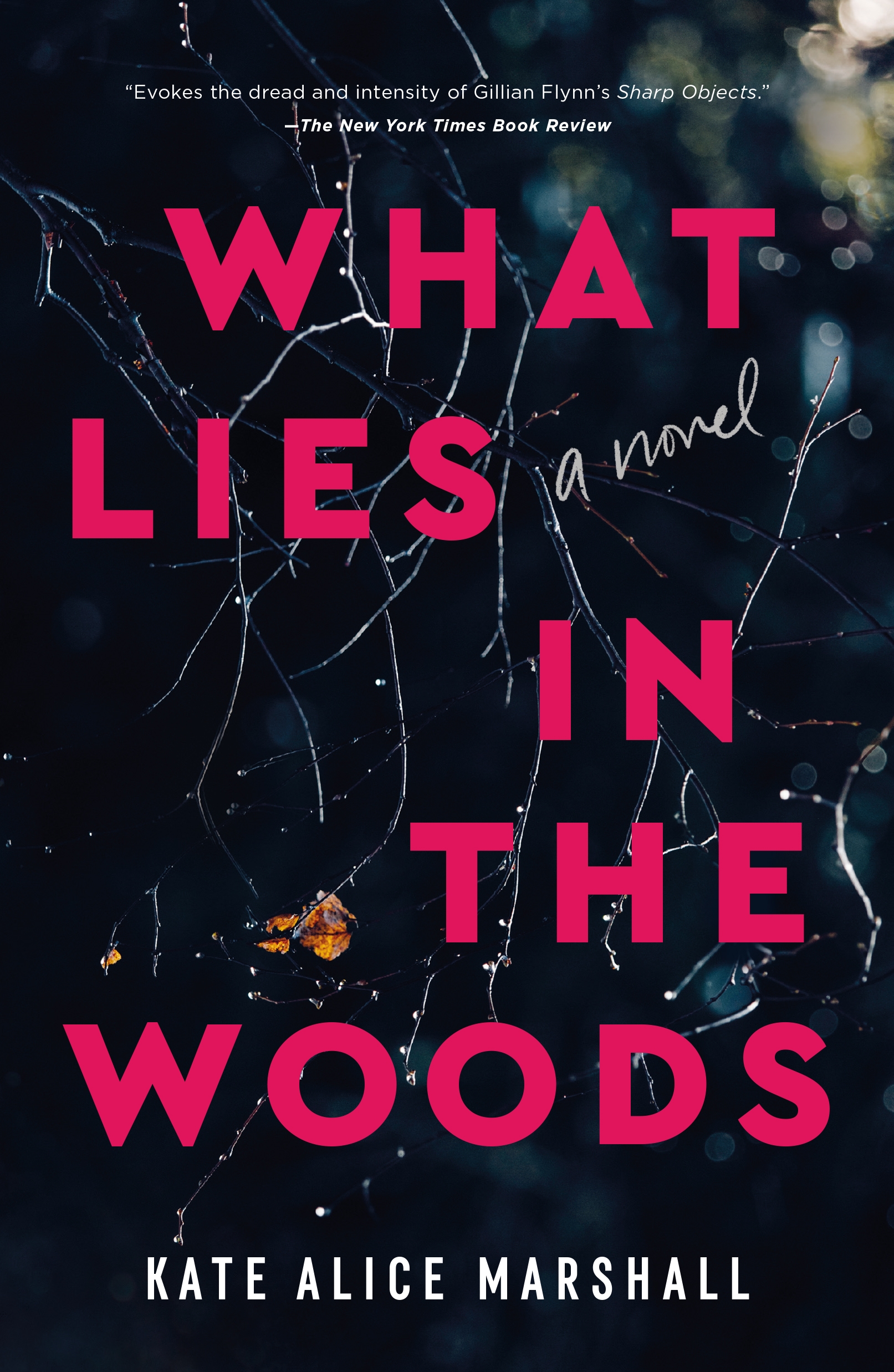 What Lies in the Woods cover image