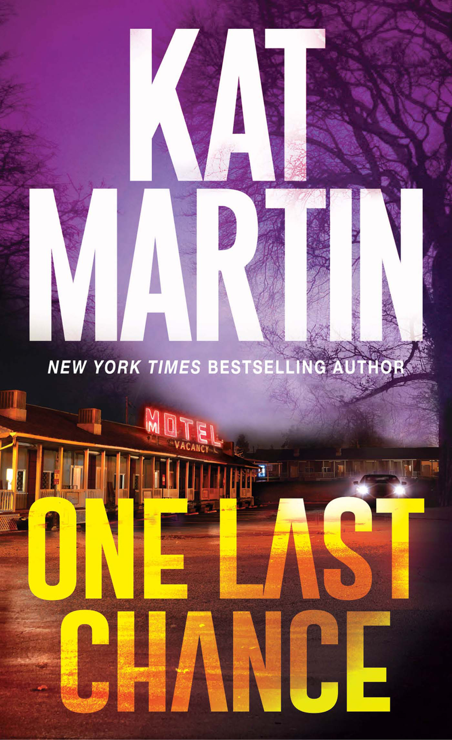 One Last Chance A Thrilling Novel of Suspense cover image