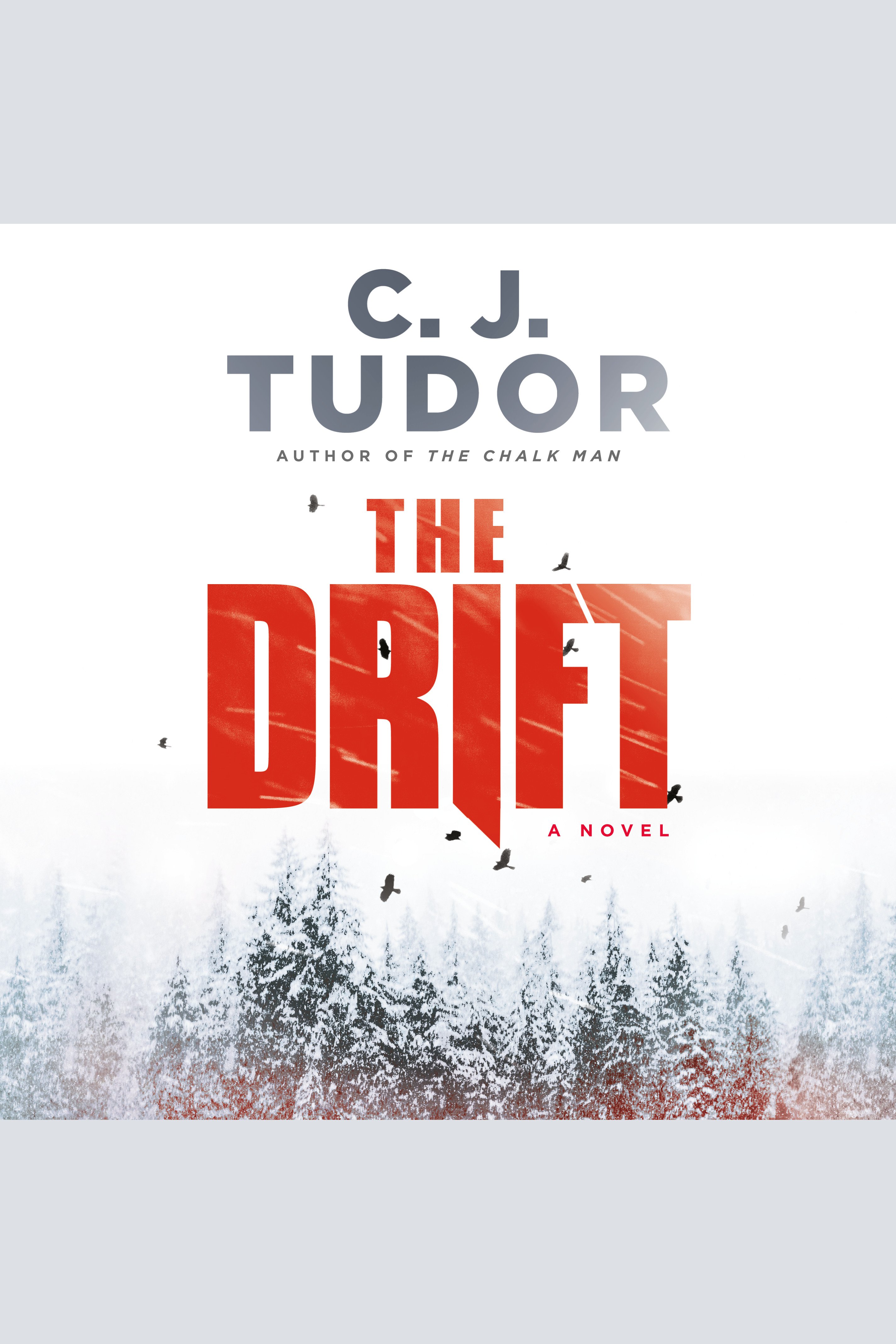 The Drift A Novel