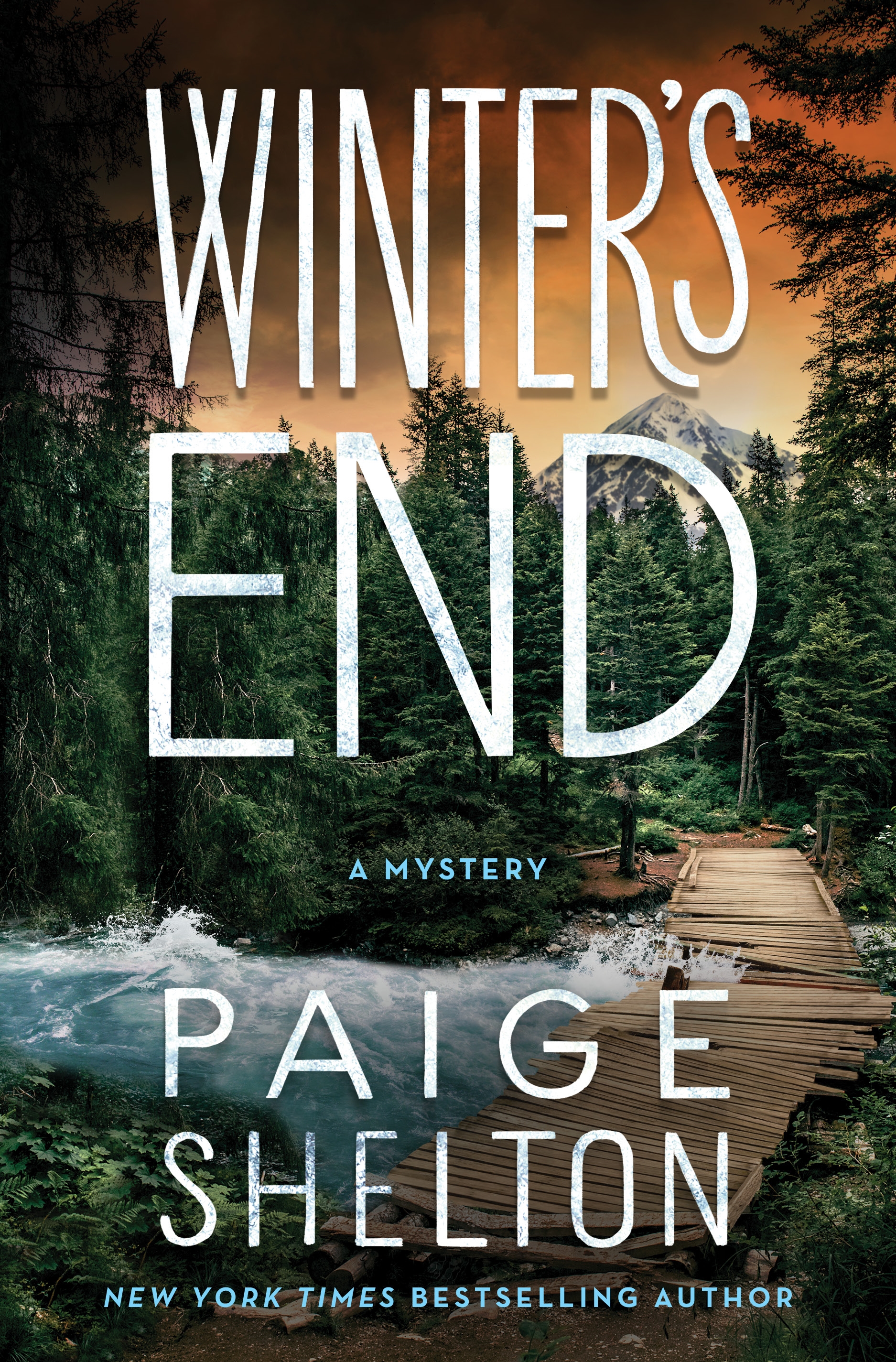 Winter's End A Mystery cover image