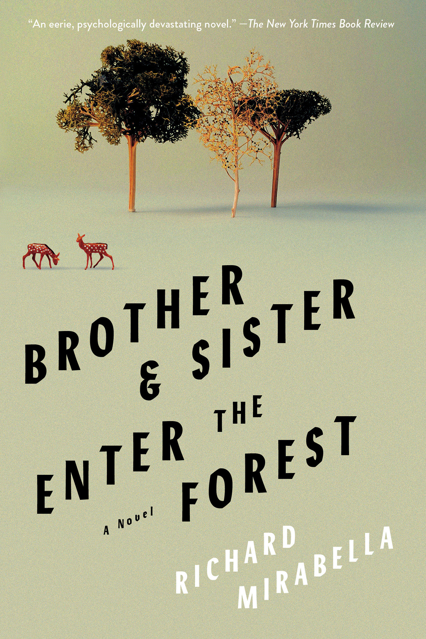 Brother & Sister Enter the Forest cover image