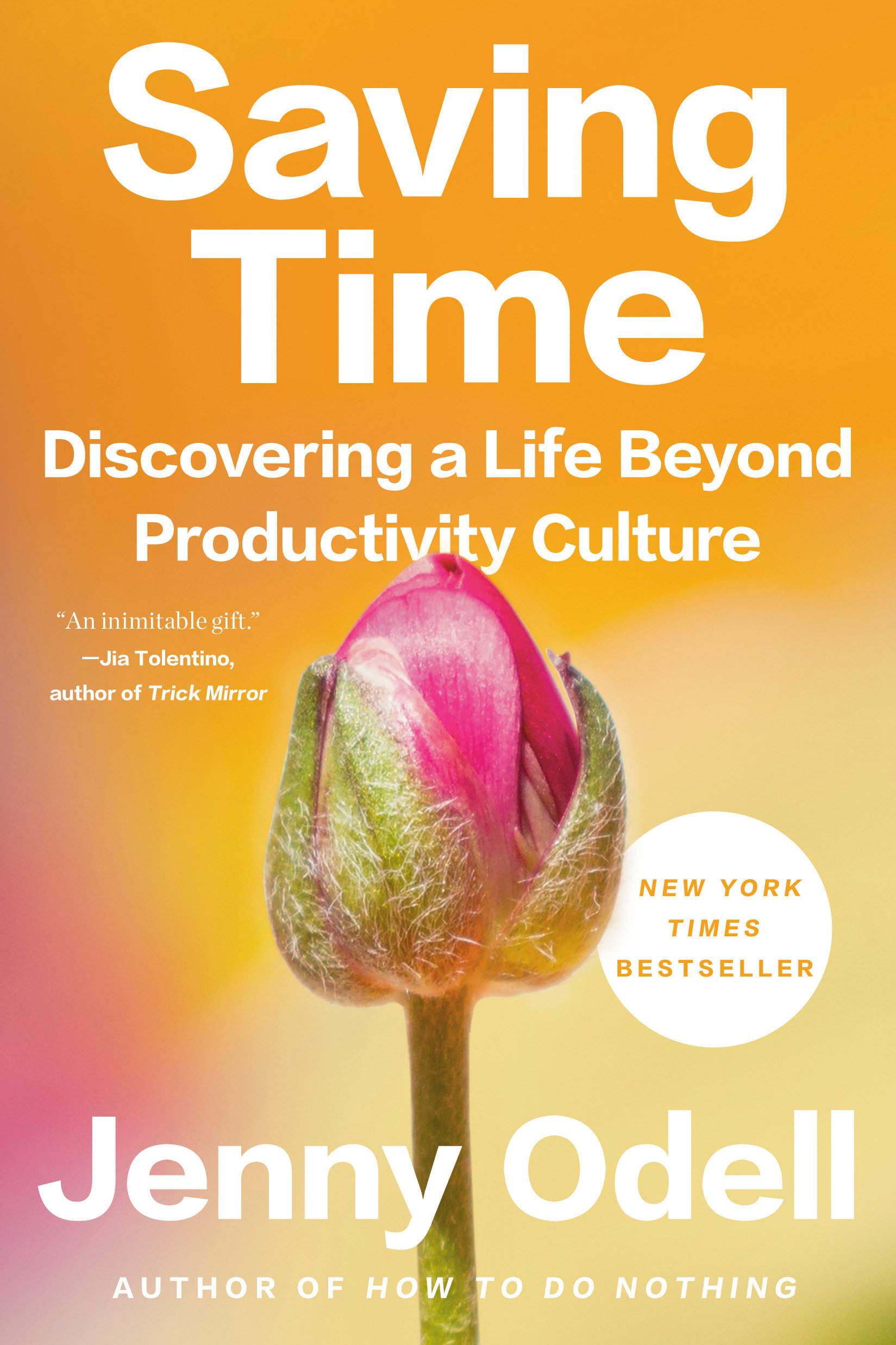 Saving Time Discovering a Life Beyond Productivity Culture cover image
