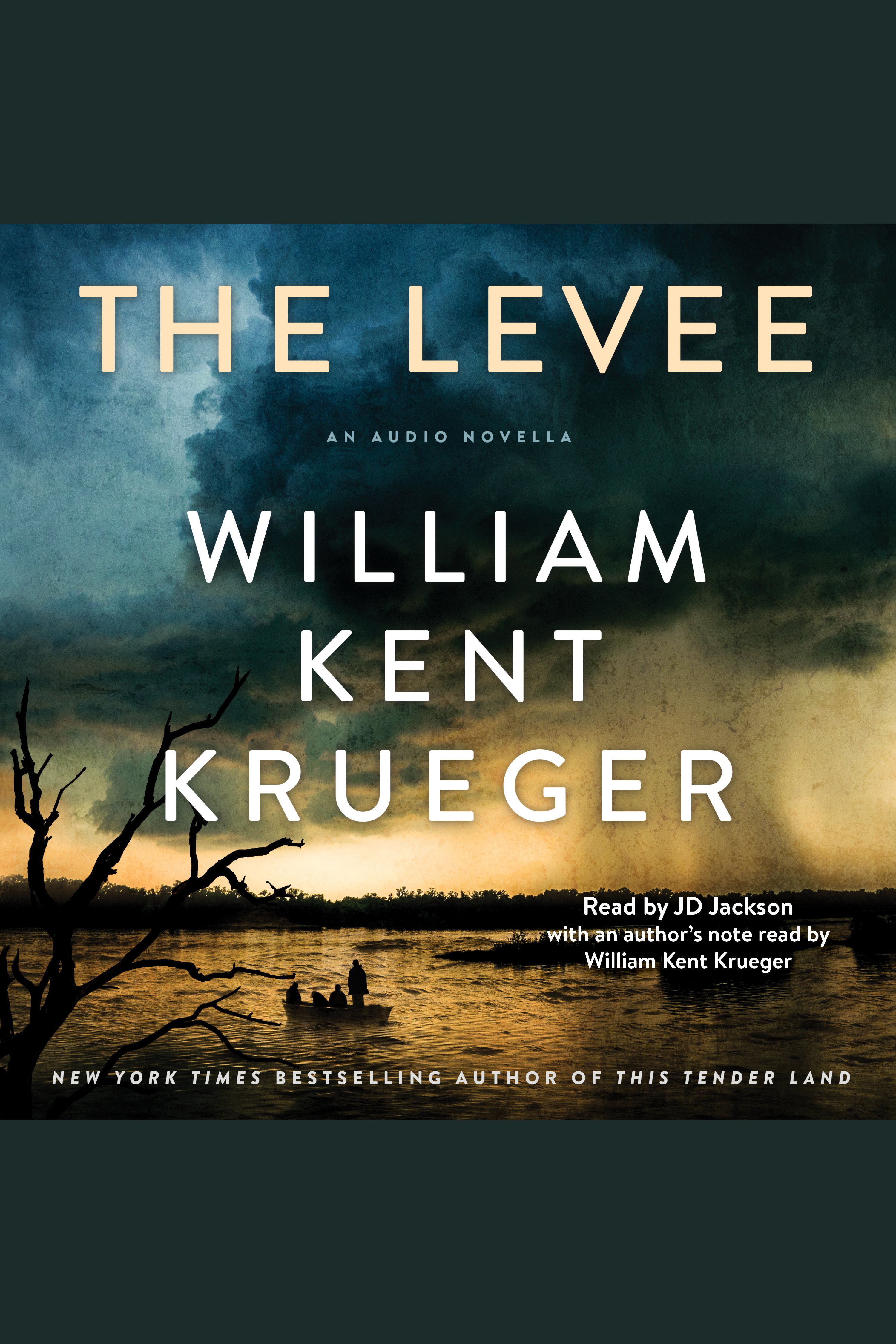 The Levee cover image