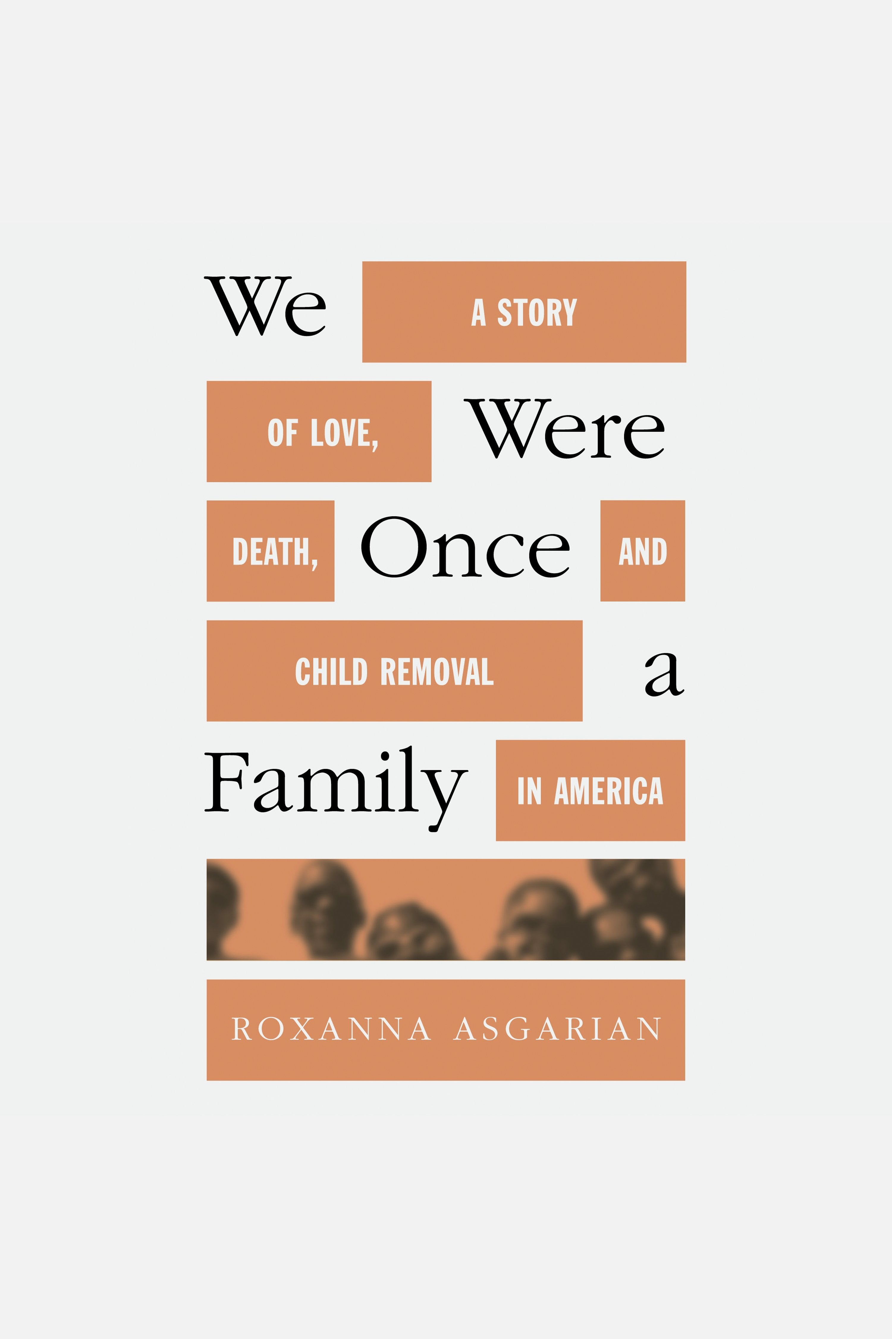 We Were Once a Family A Story of Love, Death, and Child Removal in America cover image