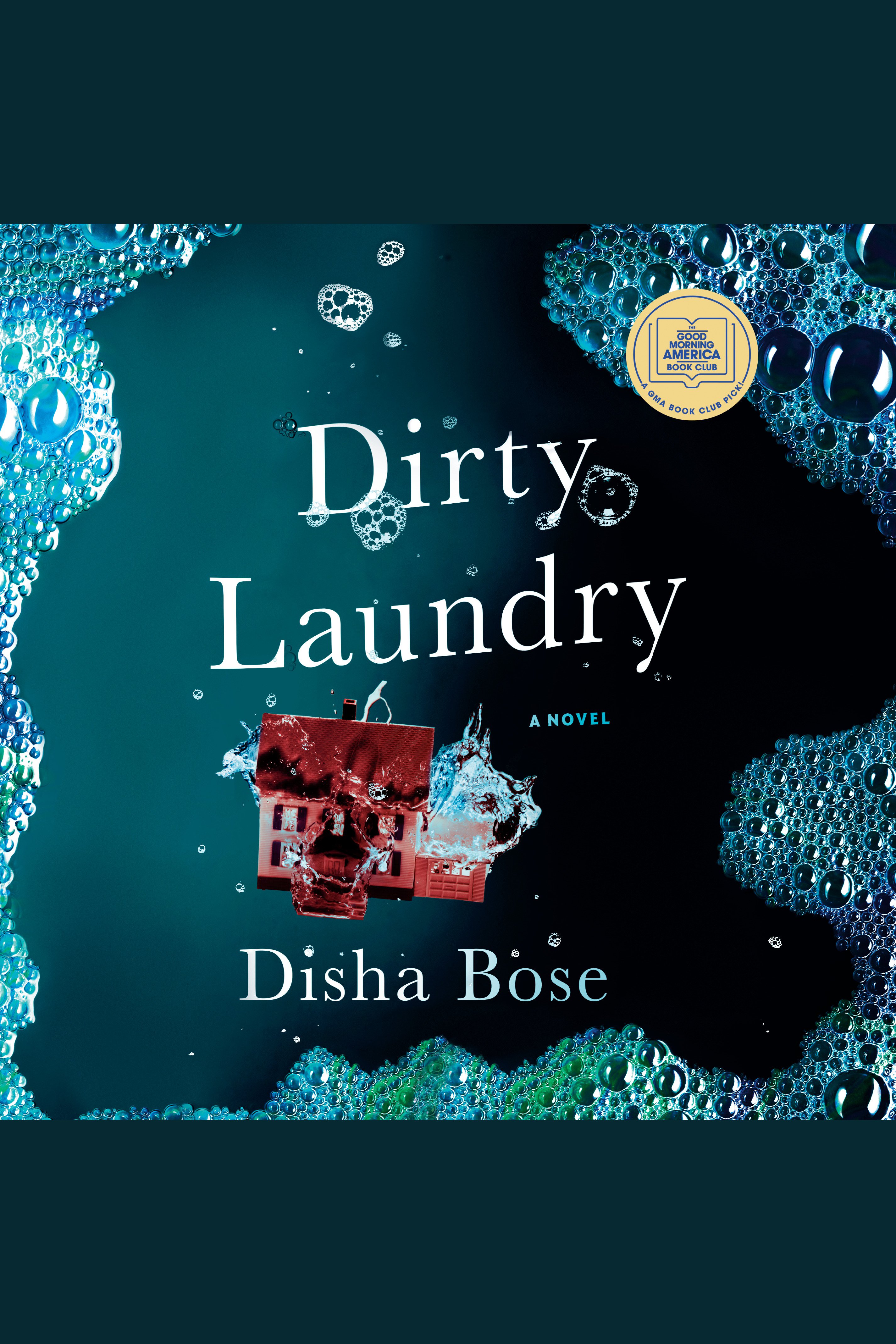 Dirty Laundry cover image