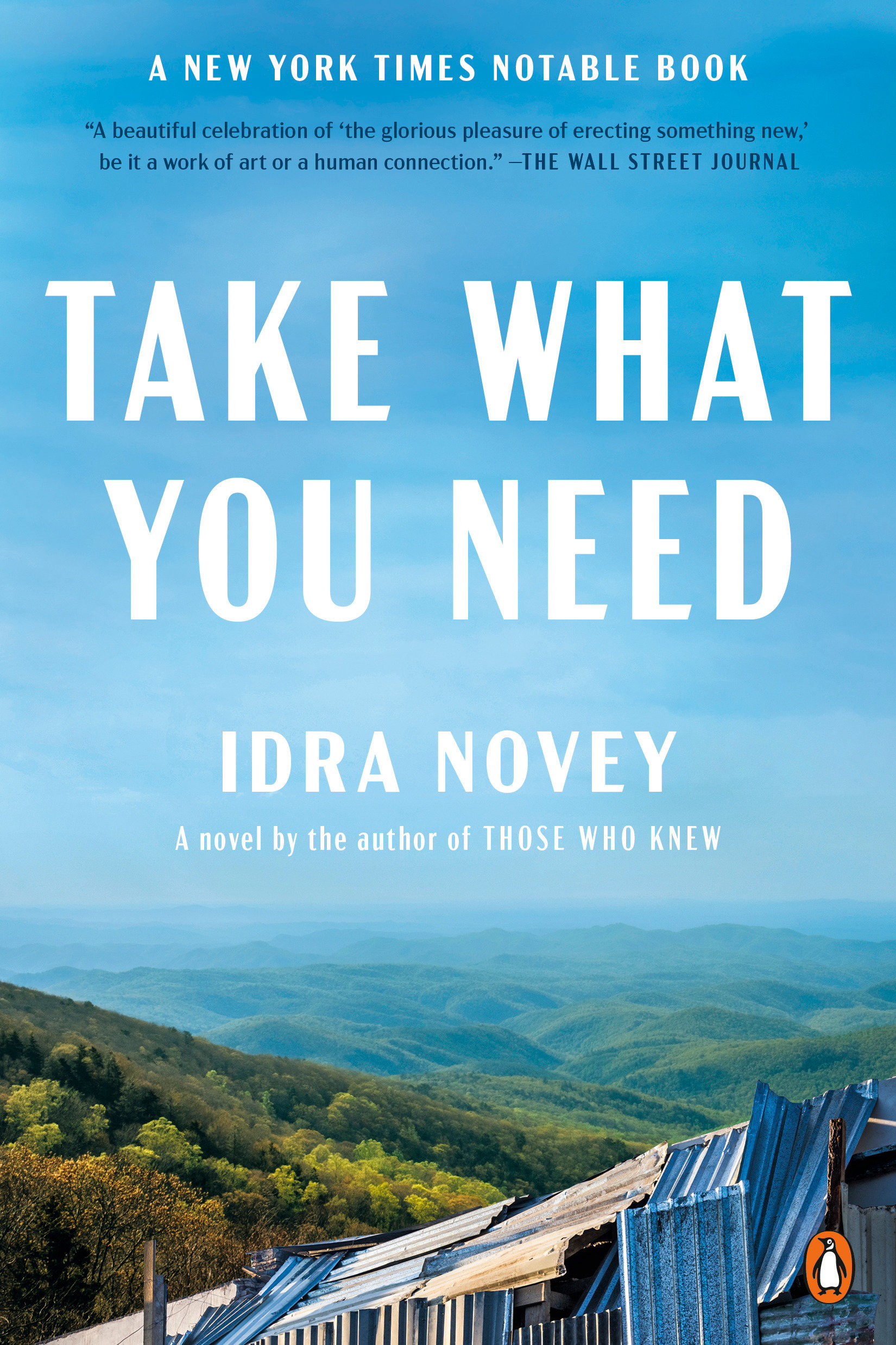 Take What You Need cover image