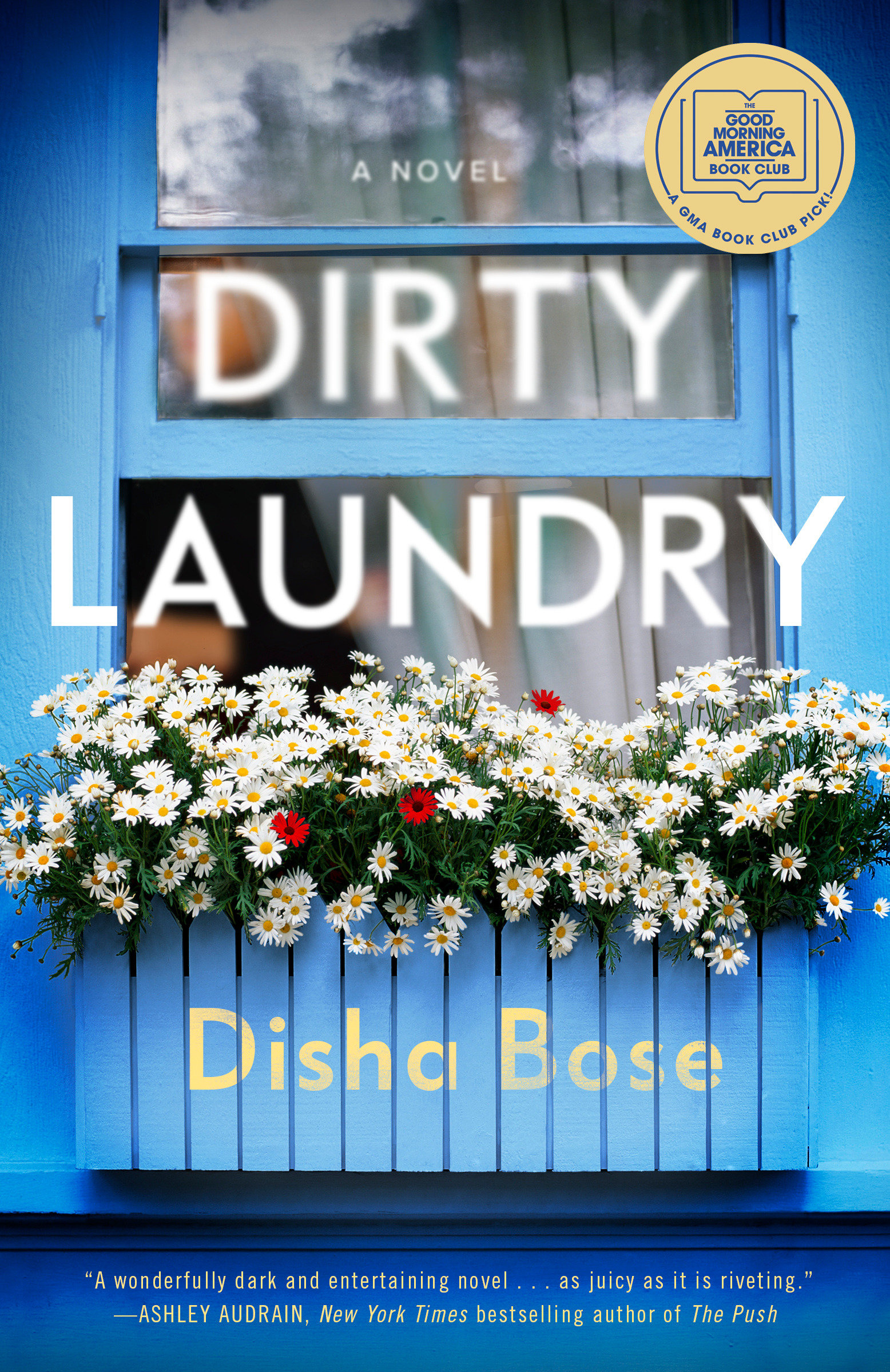 Dirty Laundry cover image