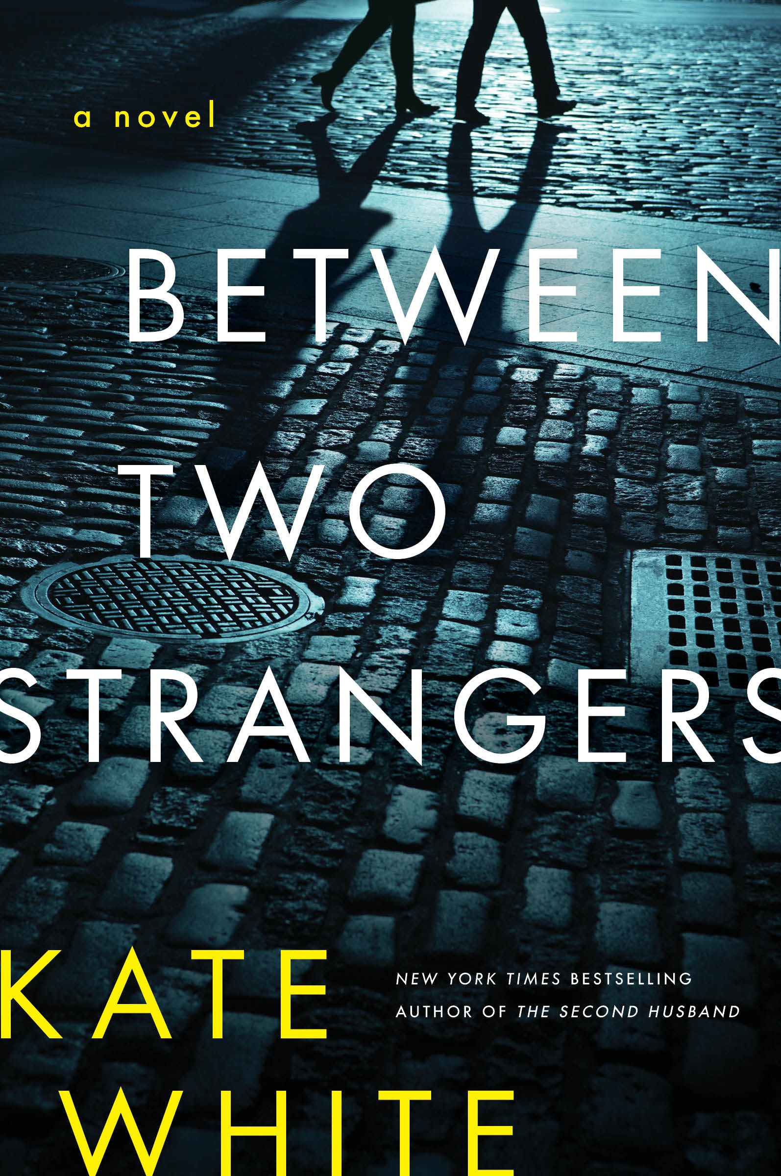Between Two Strangers A Novel of Suspense cover image