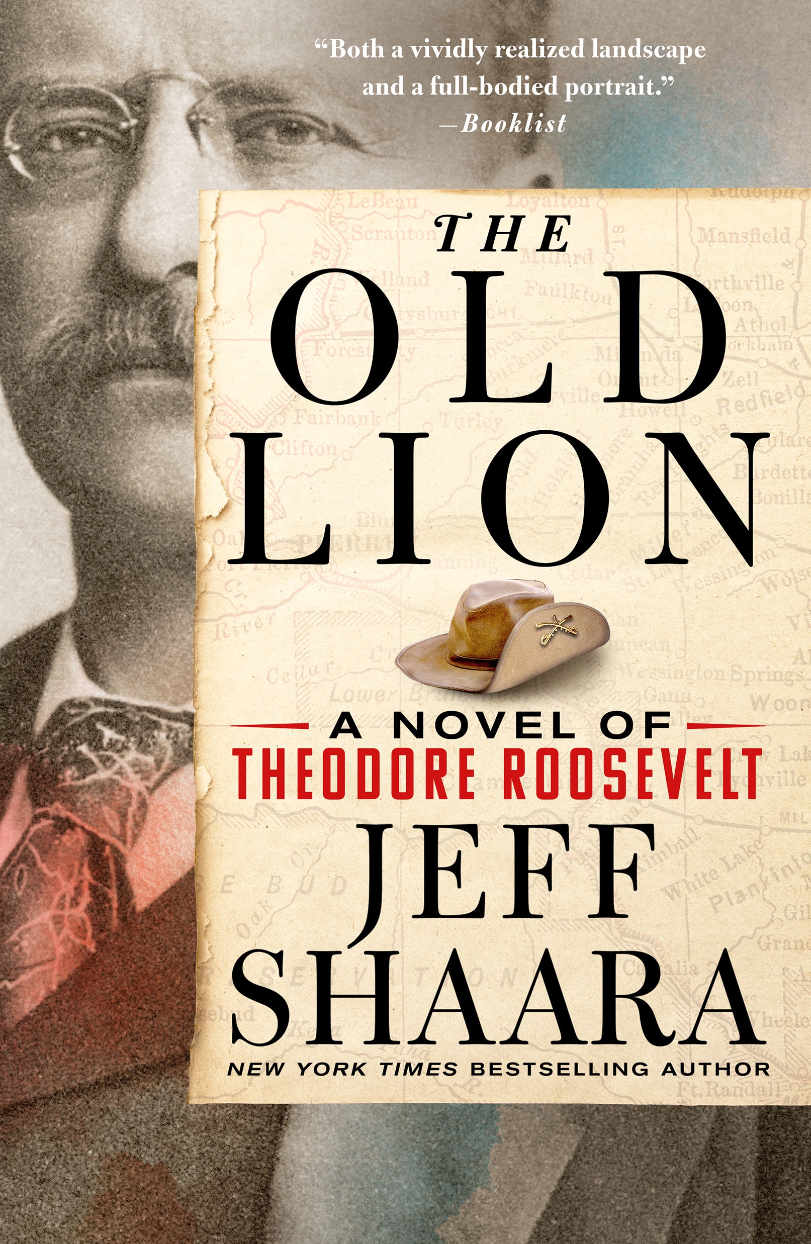 The Old Lion A Novel of Theodore Roosevelt cover image