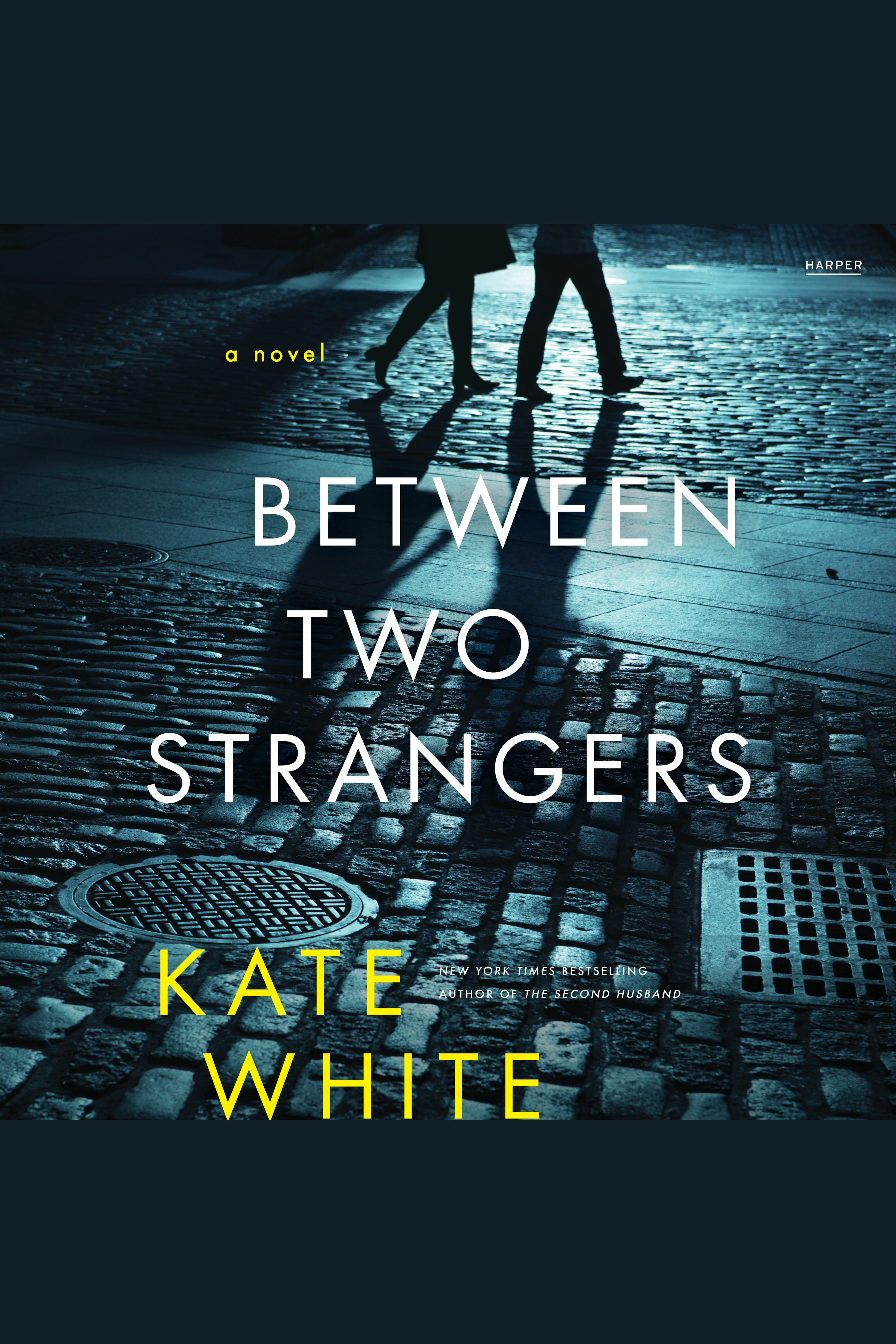 Cover image for Between Two Strangers [electronic resource] : A Novel of Suspense