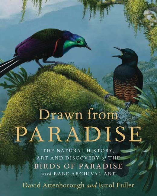 Drawn from Paradise The Natural History, Art and Discovery of the Birds of Paradise with Rare Archival Art cover image