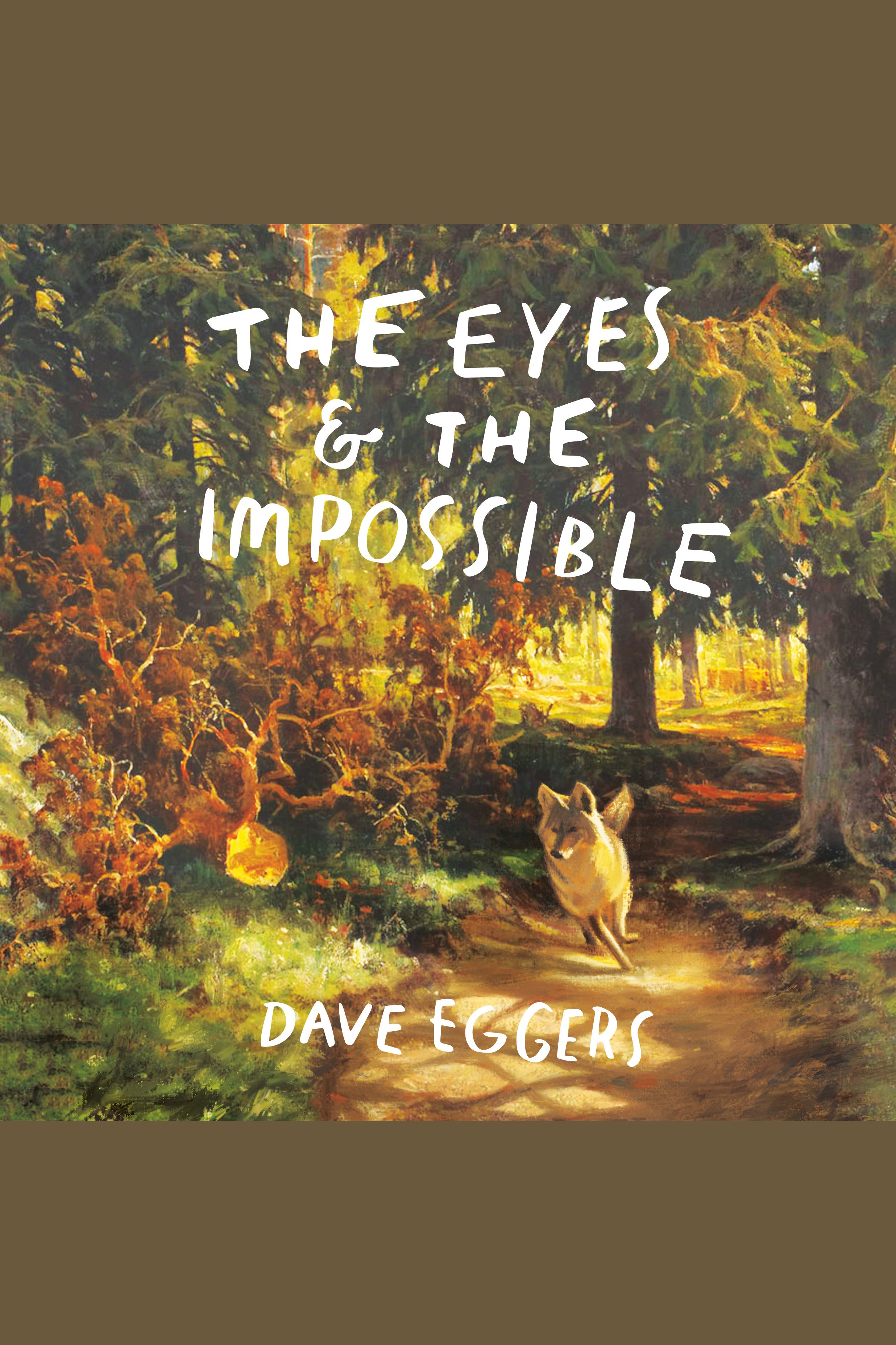 The eyes & the impossible cover image