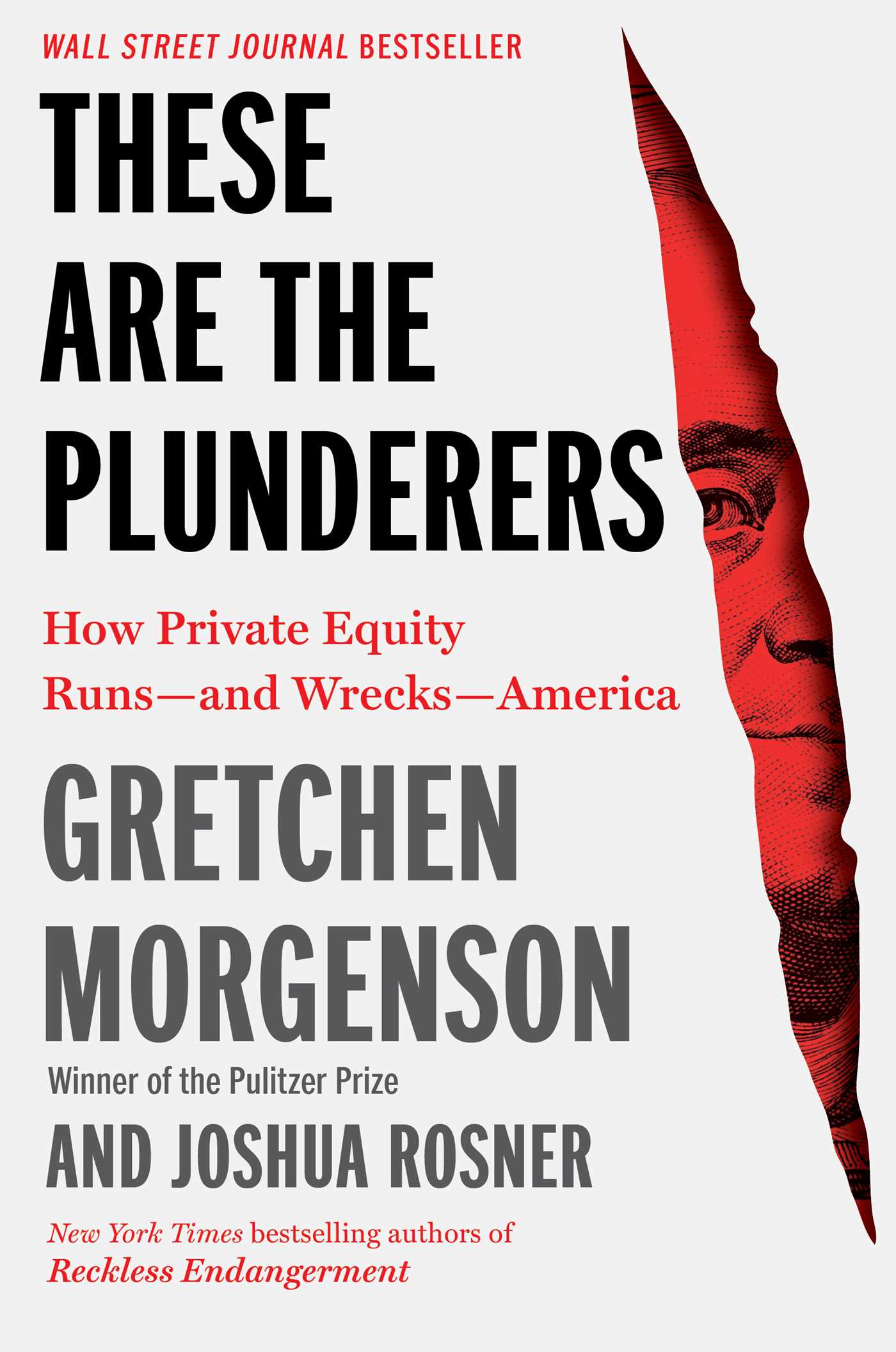 These Are the Plunderers How Private Equity Runs--and Wrecks--America cover image