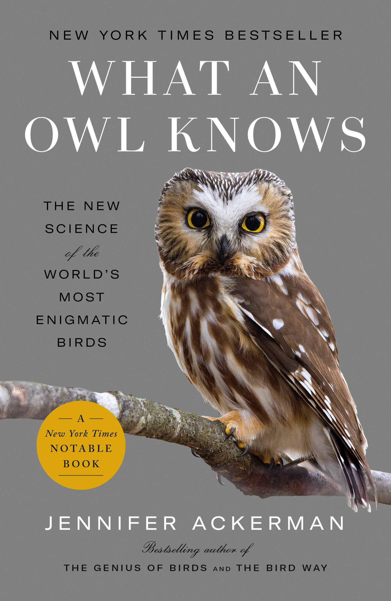 What an Owl Knows The New Science of the World's Most Enigmatic Birds cover image