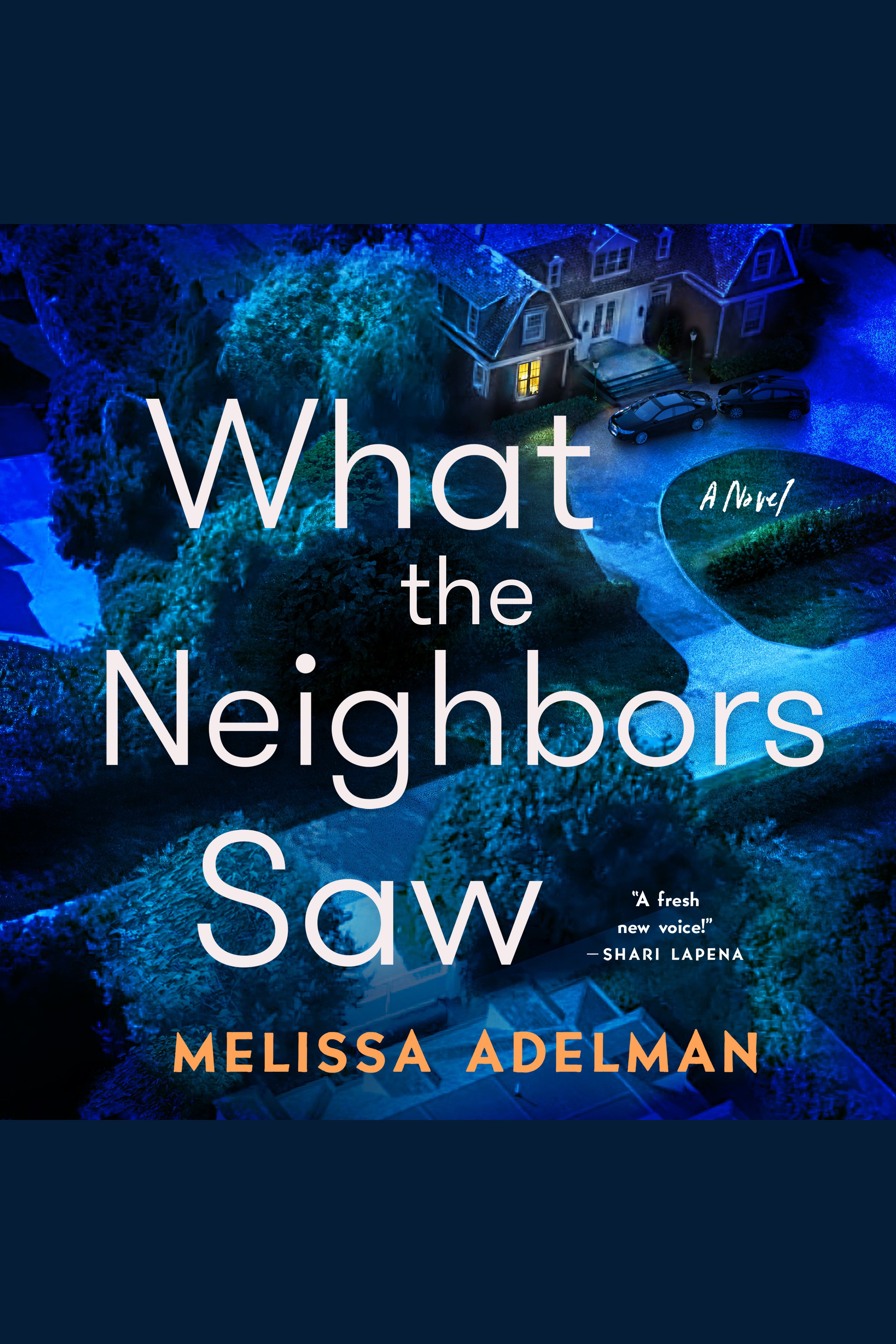 What the Neighbors Saw cover image