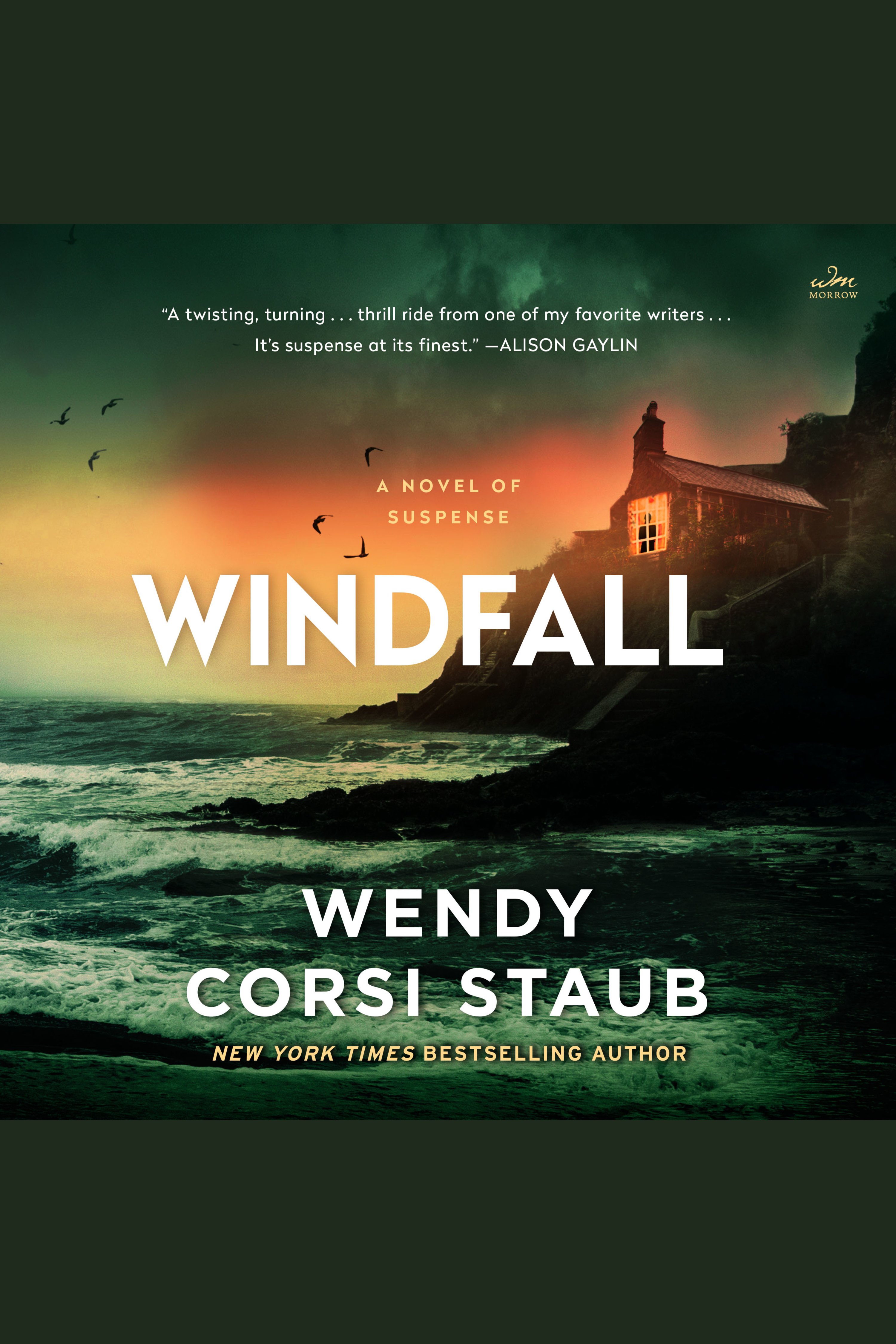 Cover image for Windfall [electronic resource] : A Novel of Suspense