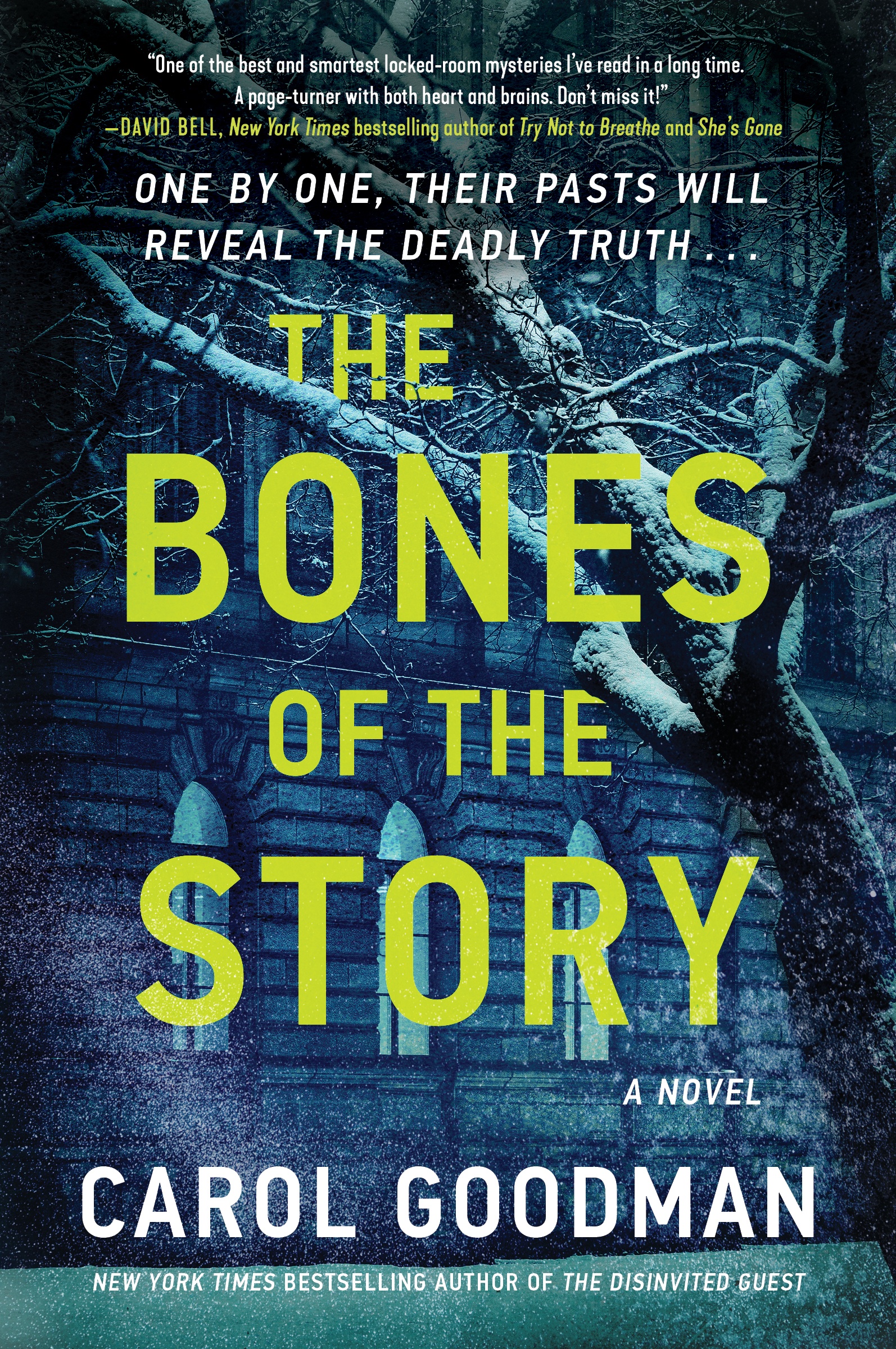 Image de couverture de The Bones of the Story [electronic resource] : A Novel