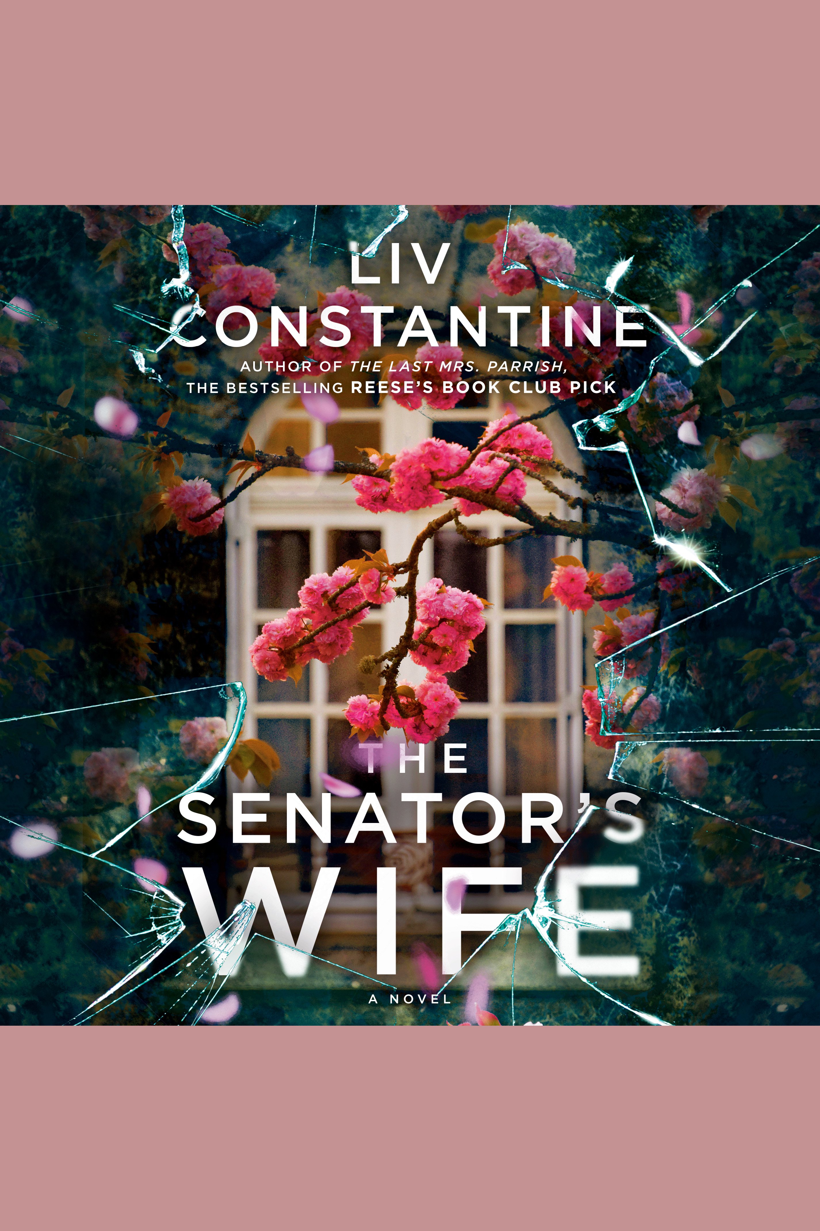 Cover image for The Senator's Wife [electronic resource] : A Novel