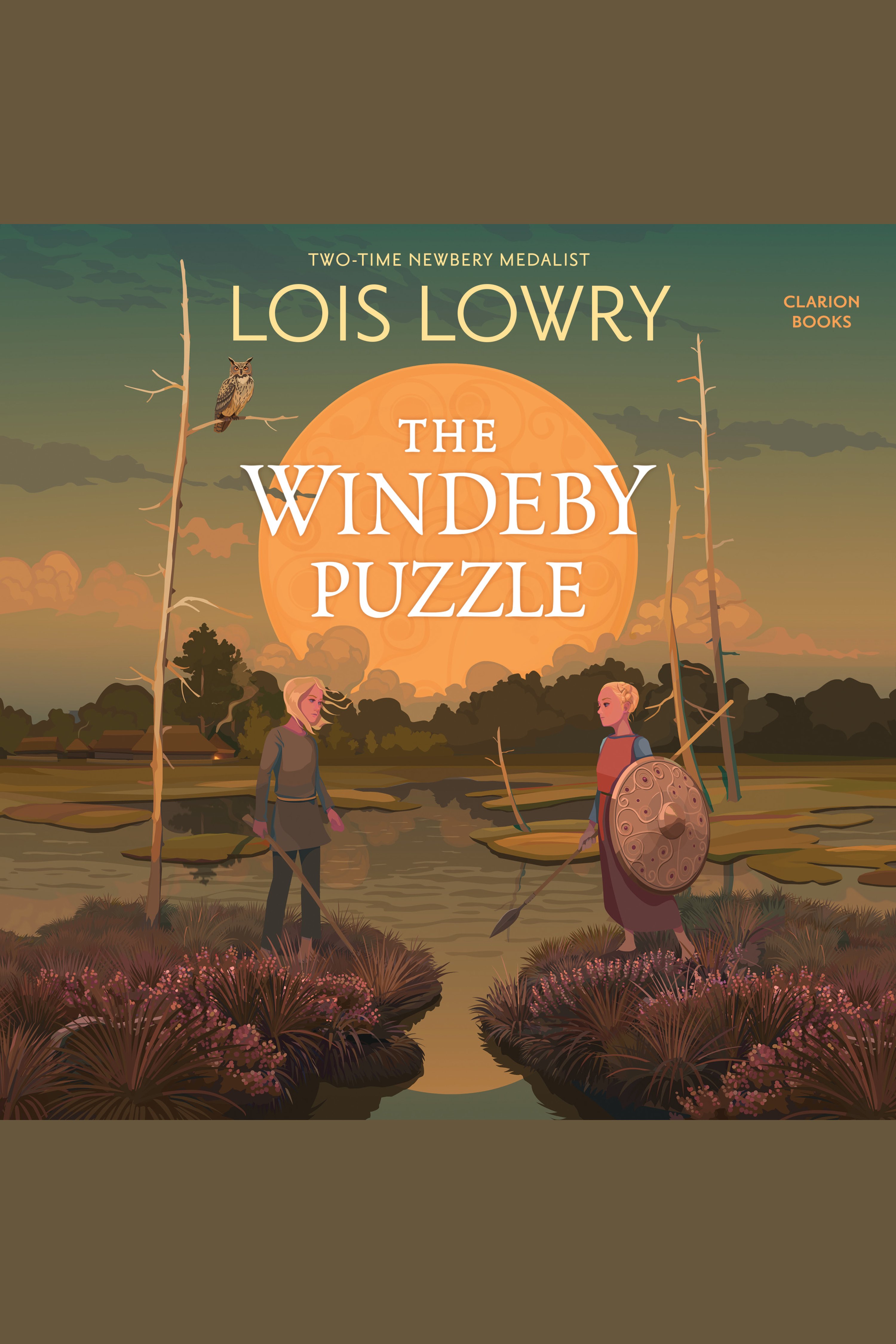 The Windeby Puzzle History and Story cover image