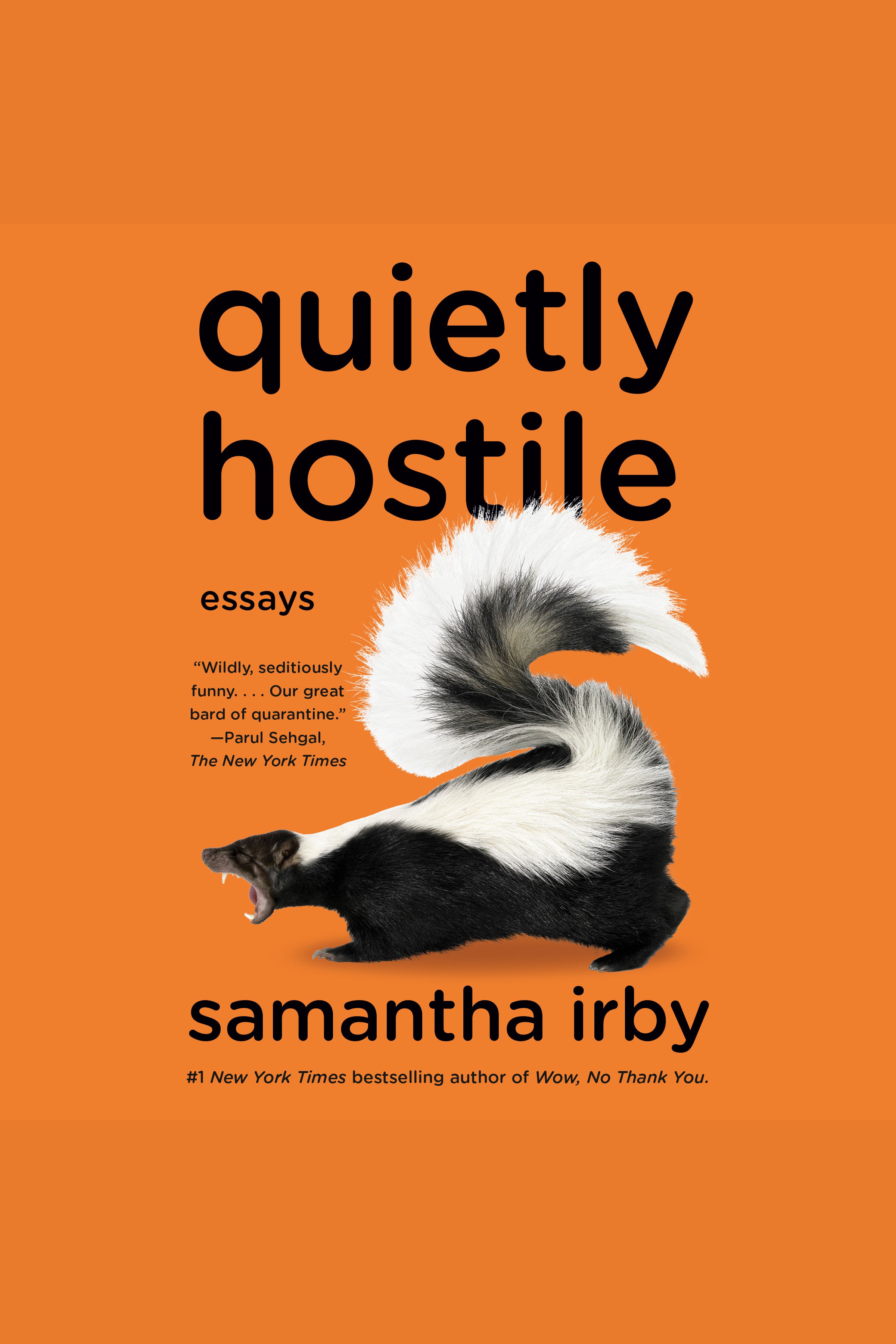 Quietly Hostile Essays cover image