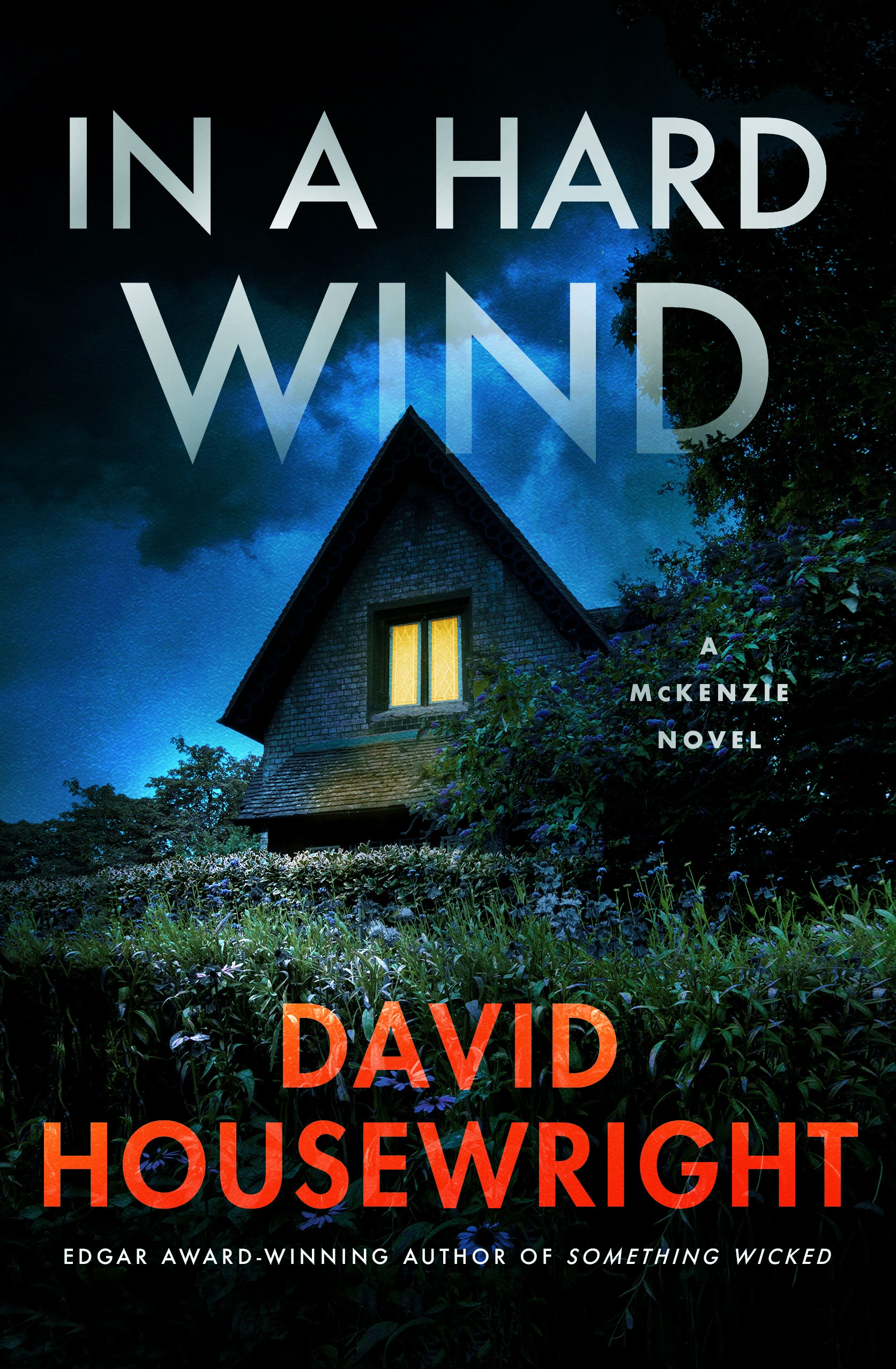 In a Hard Wind A McKenzie Novel cover image