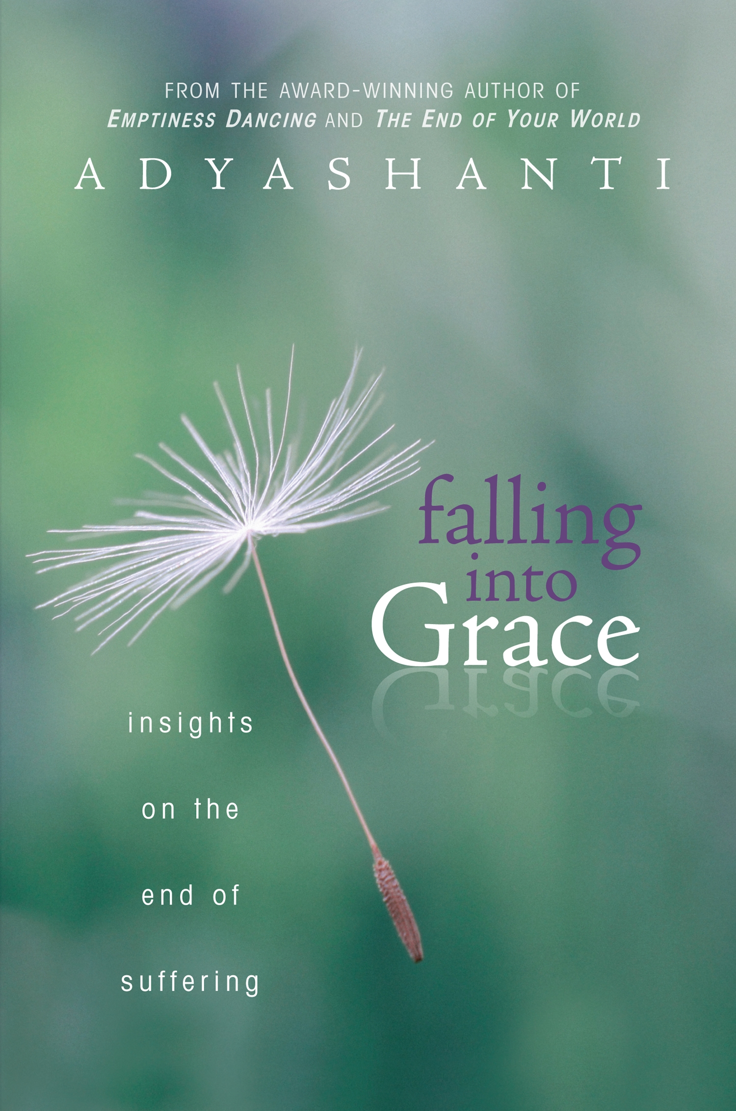 Falling into Grace Insights on the End of Suffering cover image