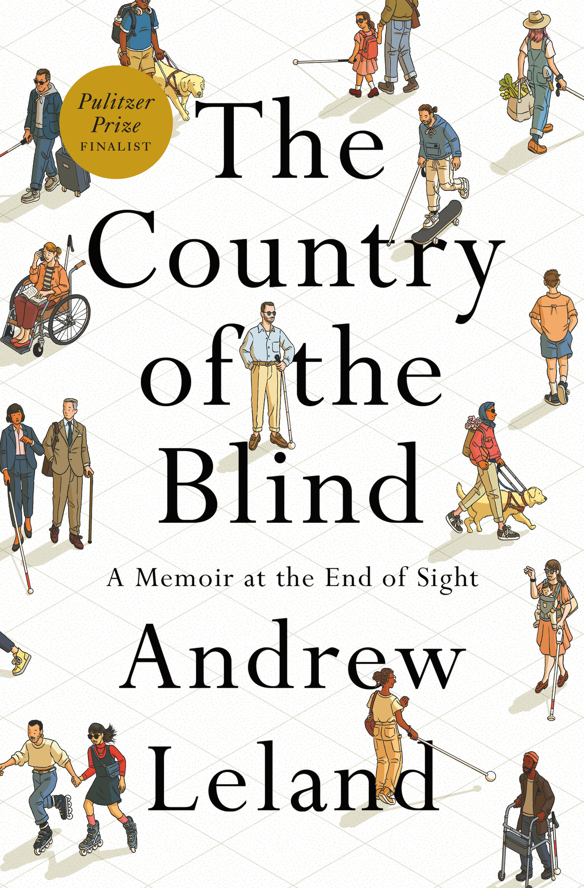 The Country of the Blind A Memoir at the End of Sight cover image