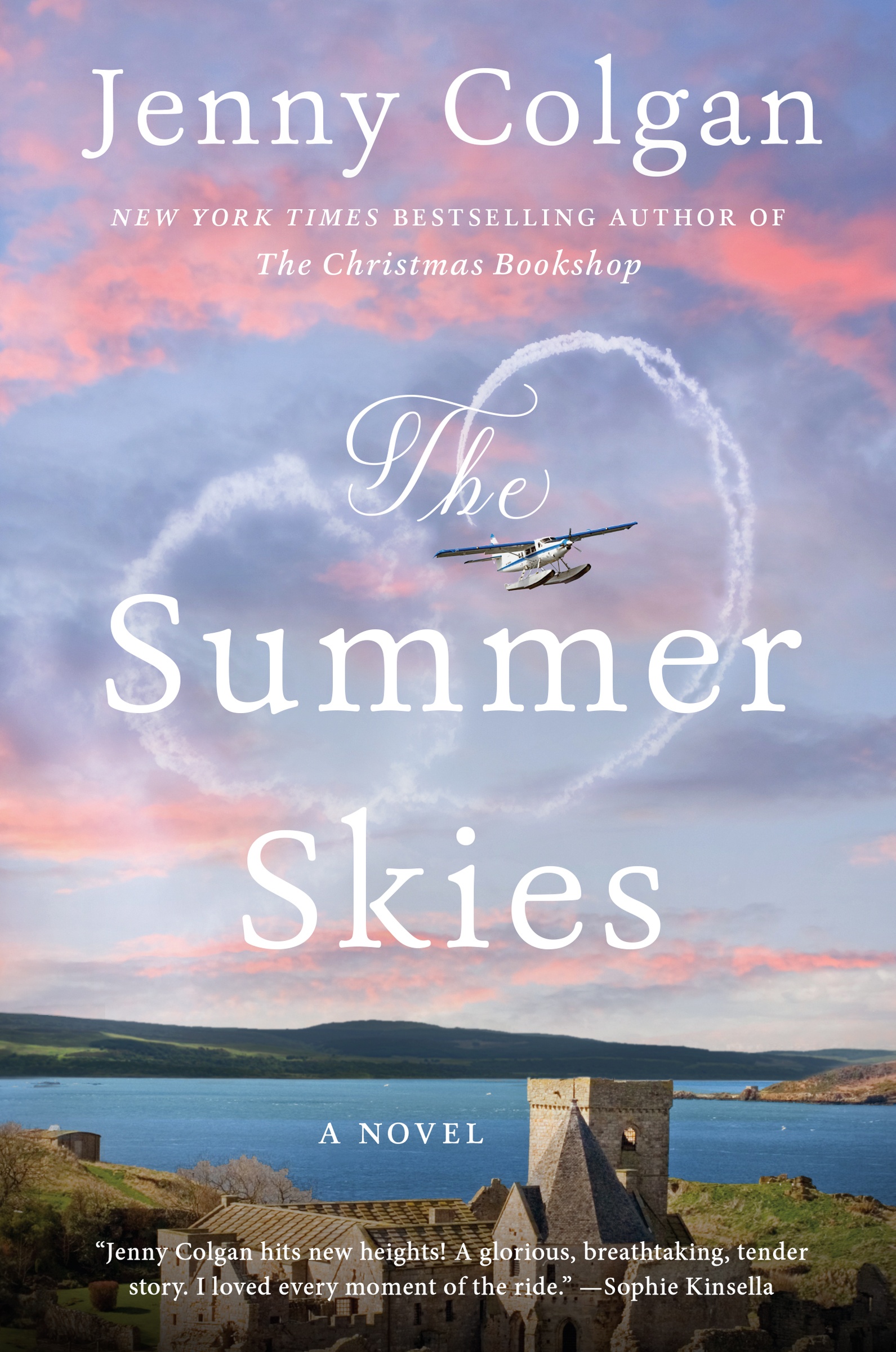 Image de couverture de The Summer Skies [electronic resource] : A Novel