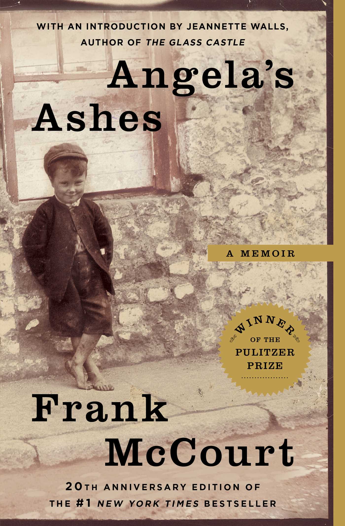 Cover image for Angela's Ashes [electronic resource] : A Memoir