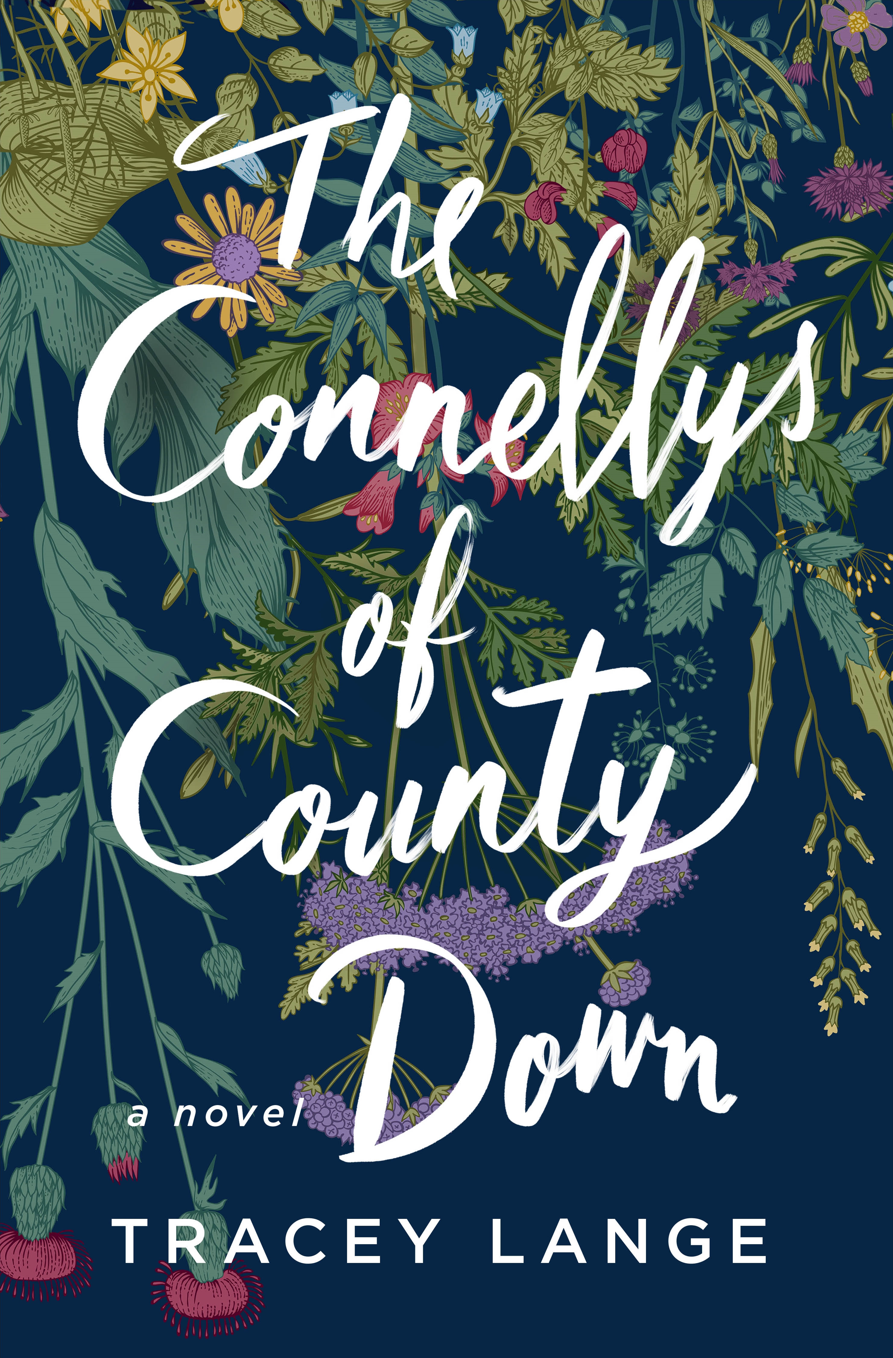 The Connellys of County Down cover image