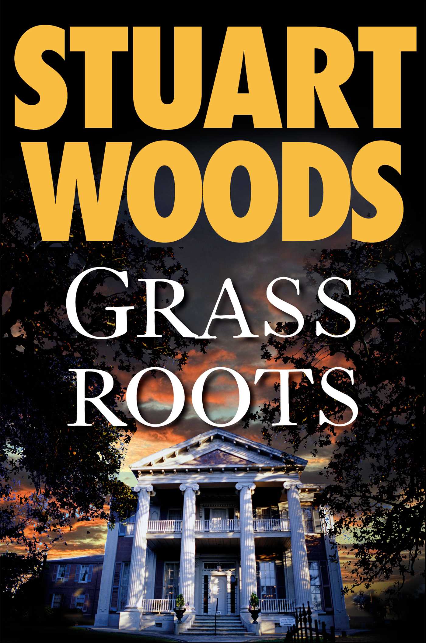 Umschlagbild für Grass Roots [electronic resource] :