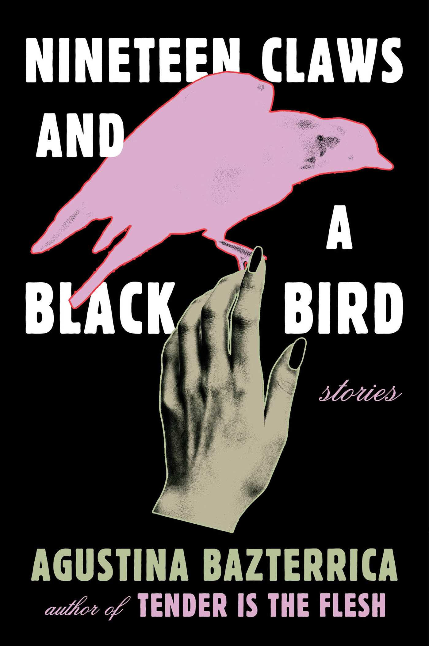 Nineteen Claws and a Black Bird Stories cover image