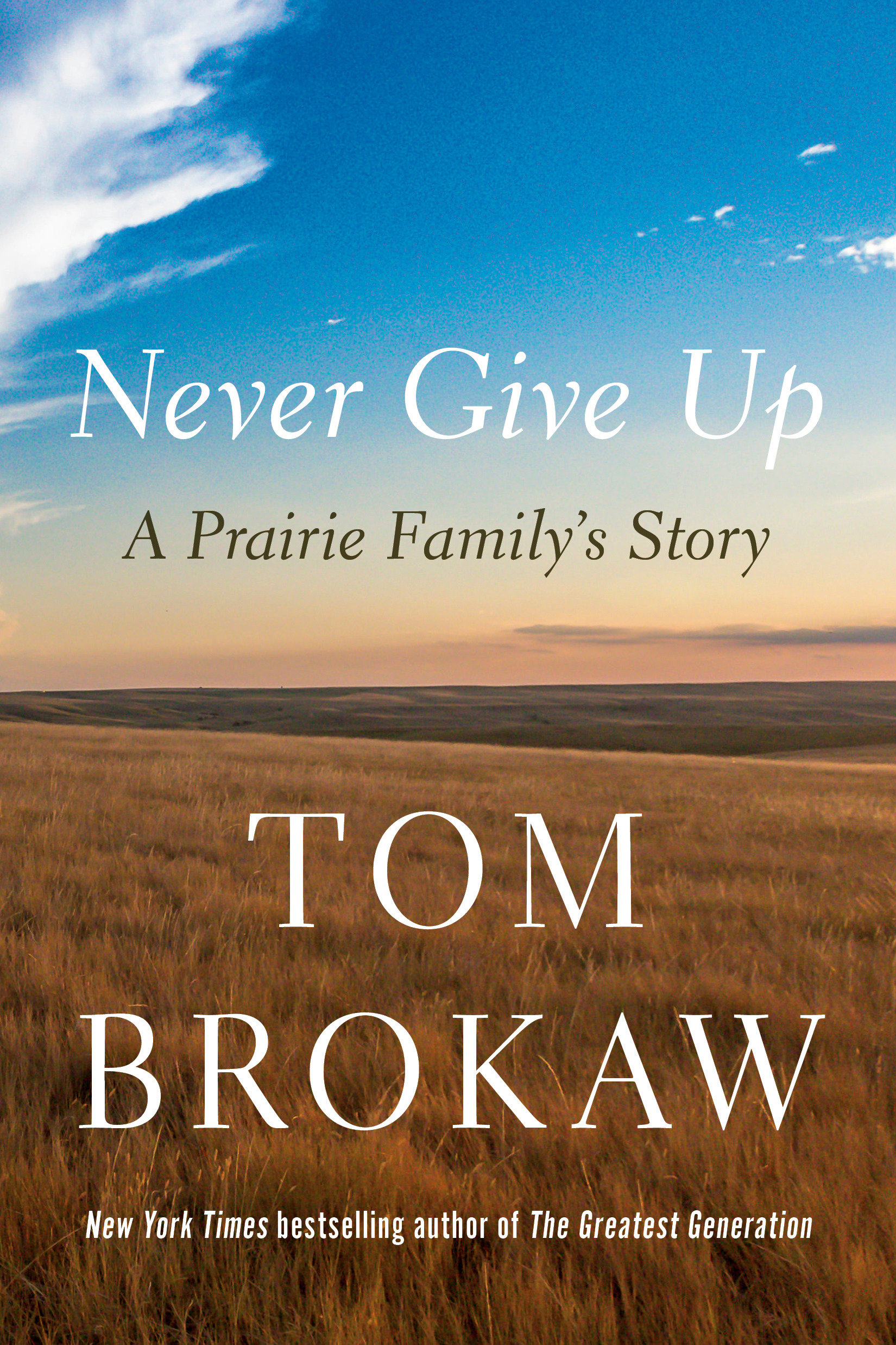 Image de couverture de Never Give Up [electronic resource] : A Prairie Family's Story