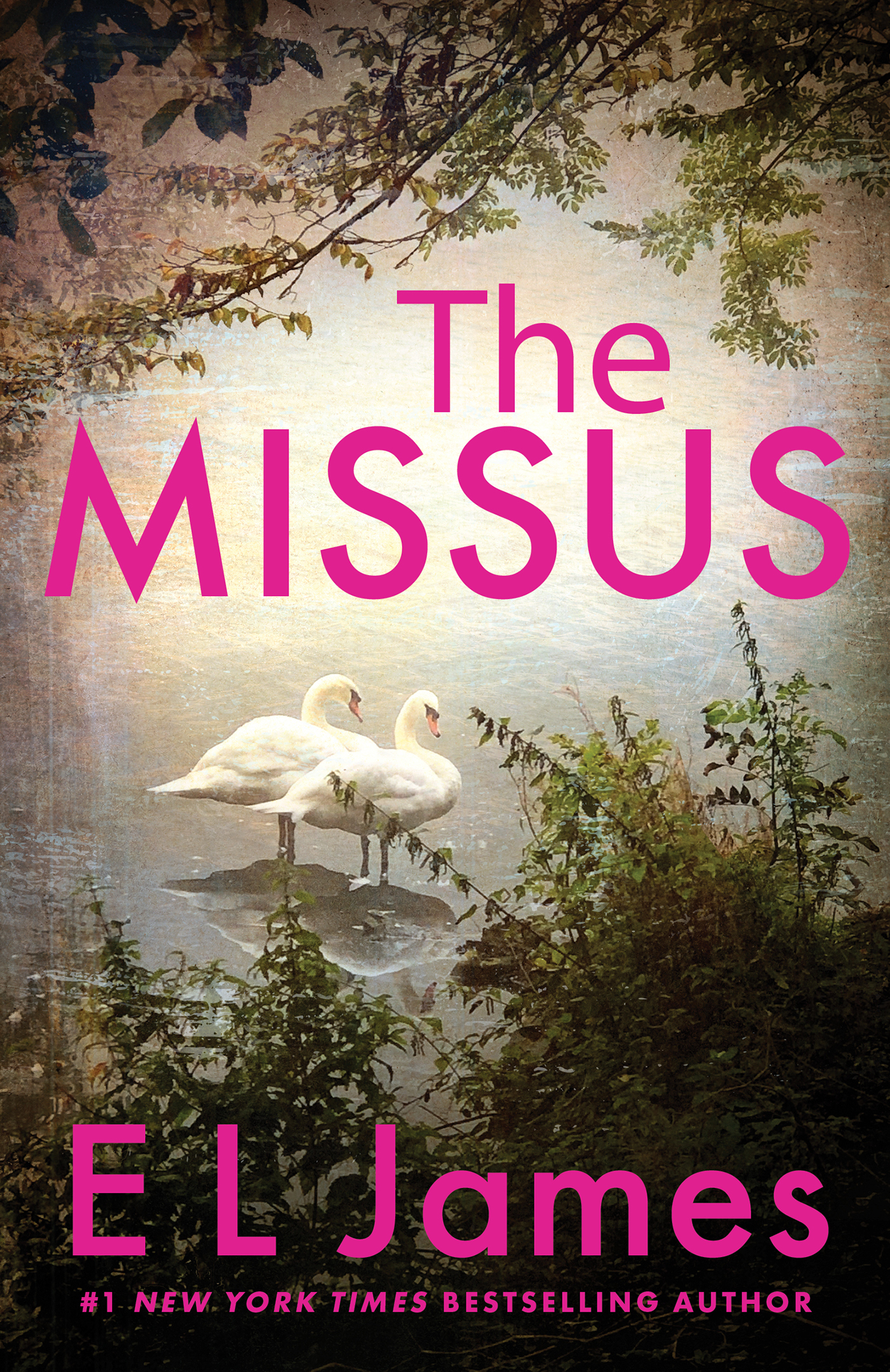 Cover image for The Missus [electronic resource] :