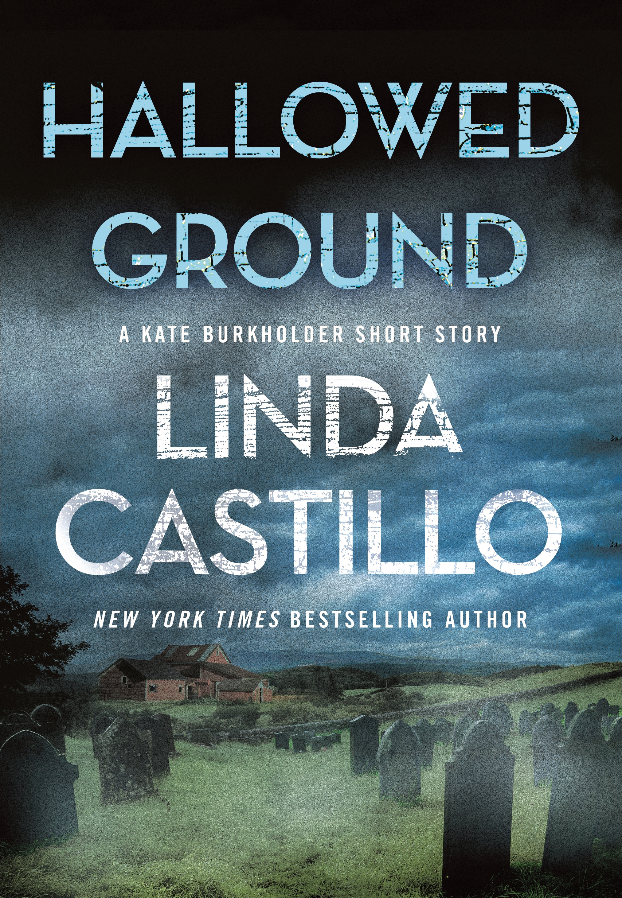 Cover image for Hallowed Ground [electronic resource] : A Kate Burkholder Short Story