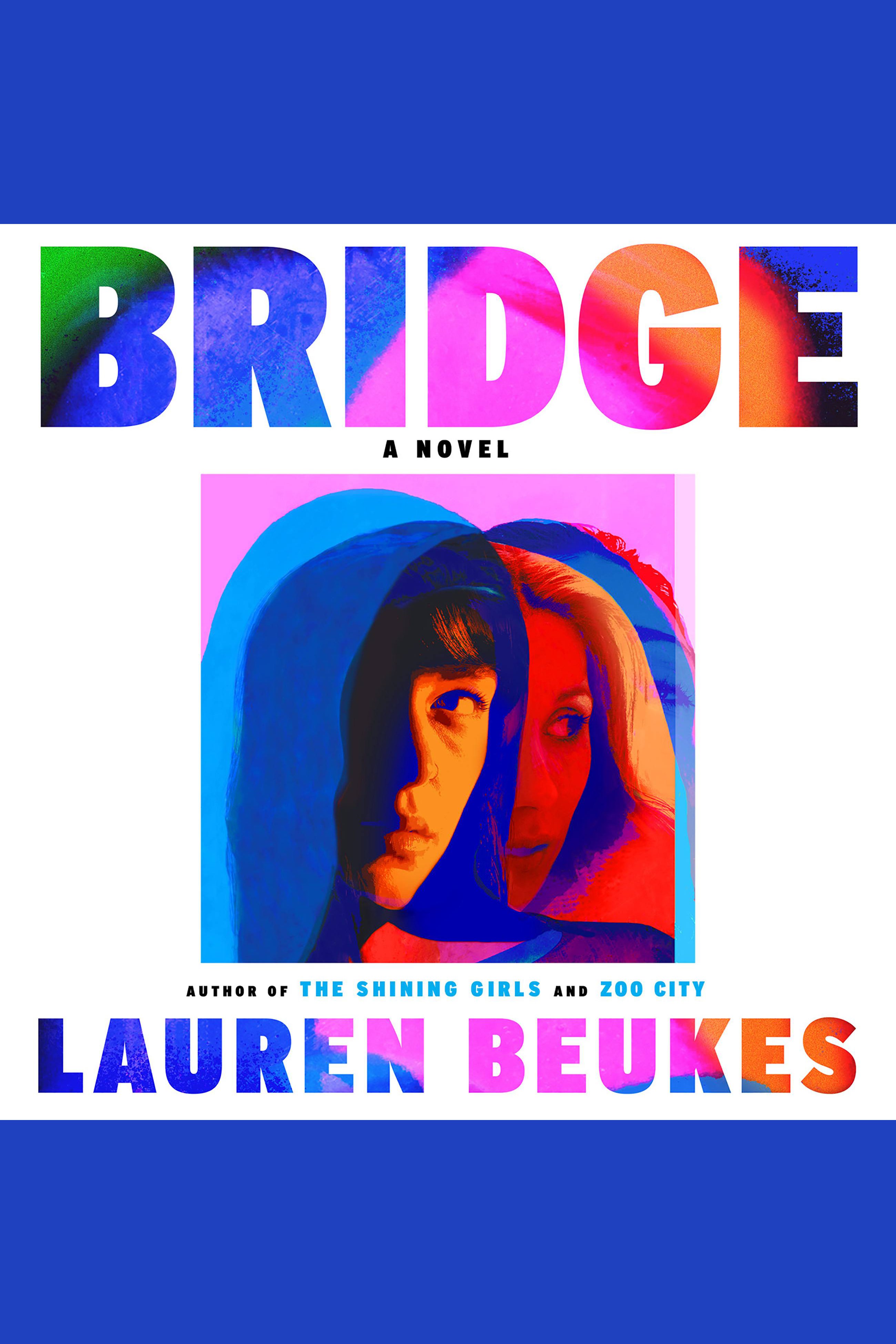Bridge A Novel of Suspense cover image