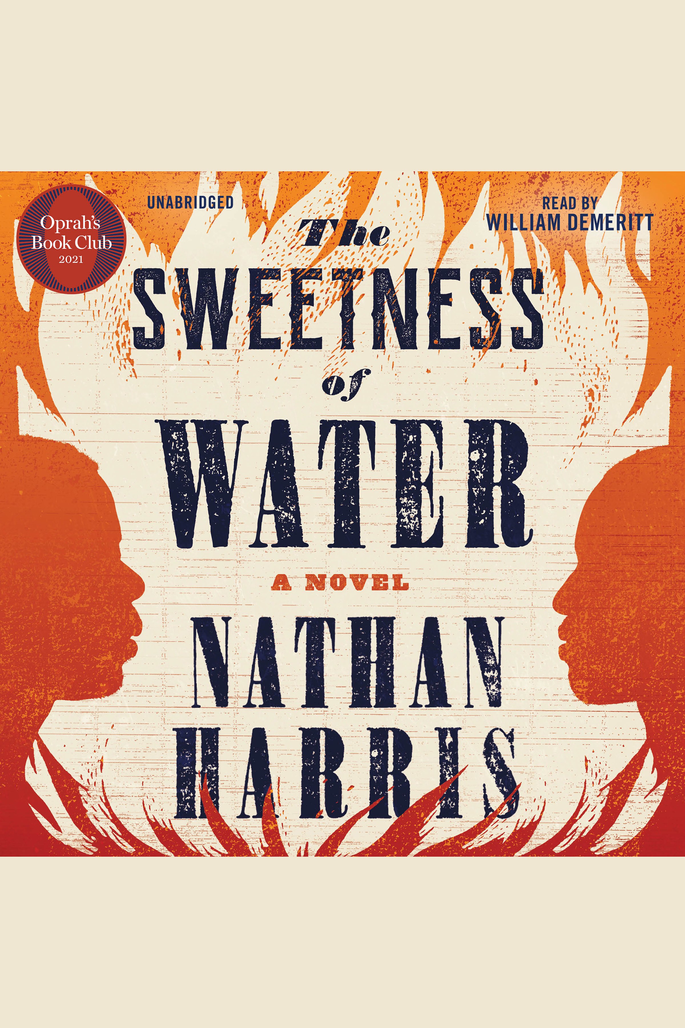 The Sweetness of Water cover image
